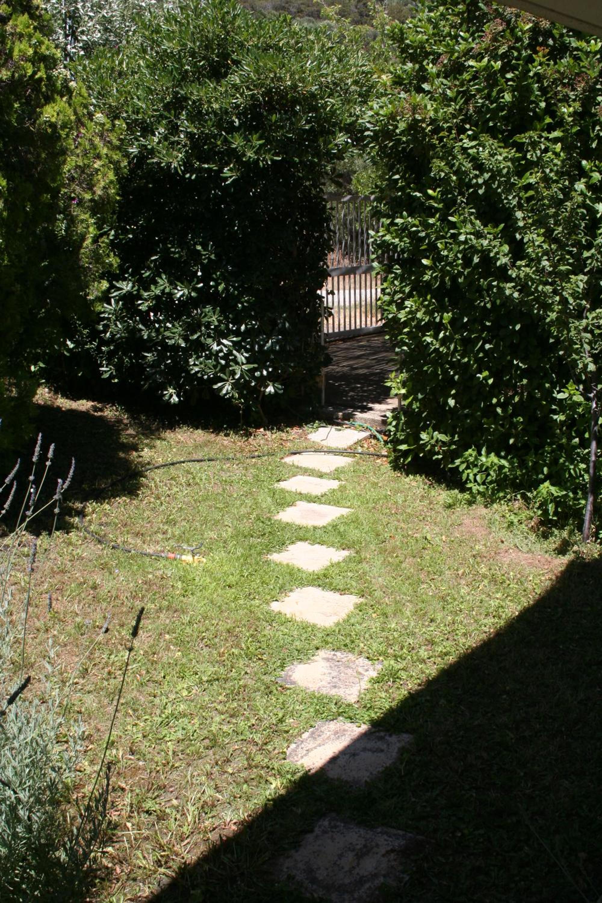 Photo 29