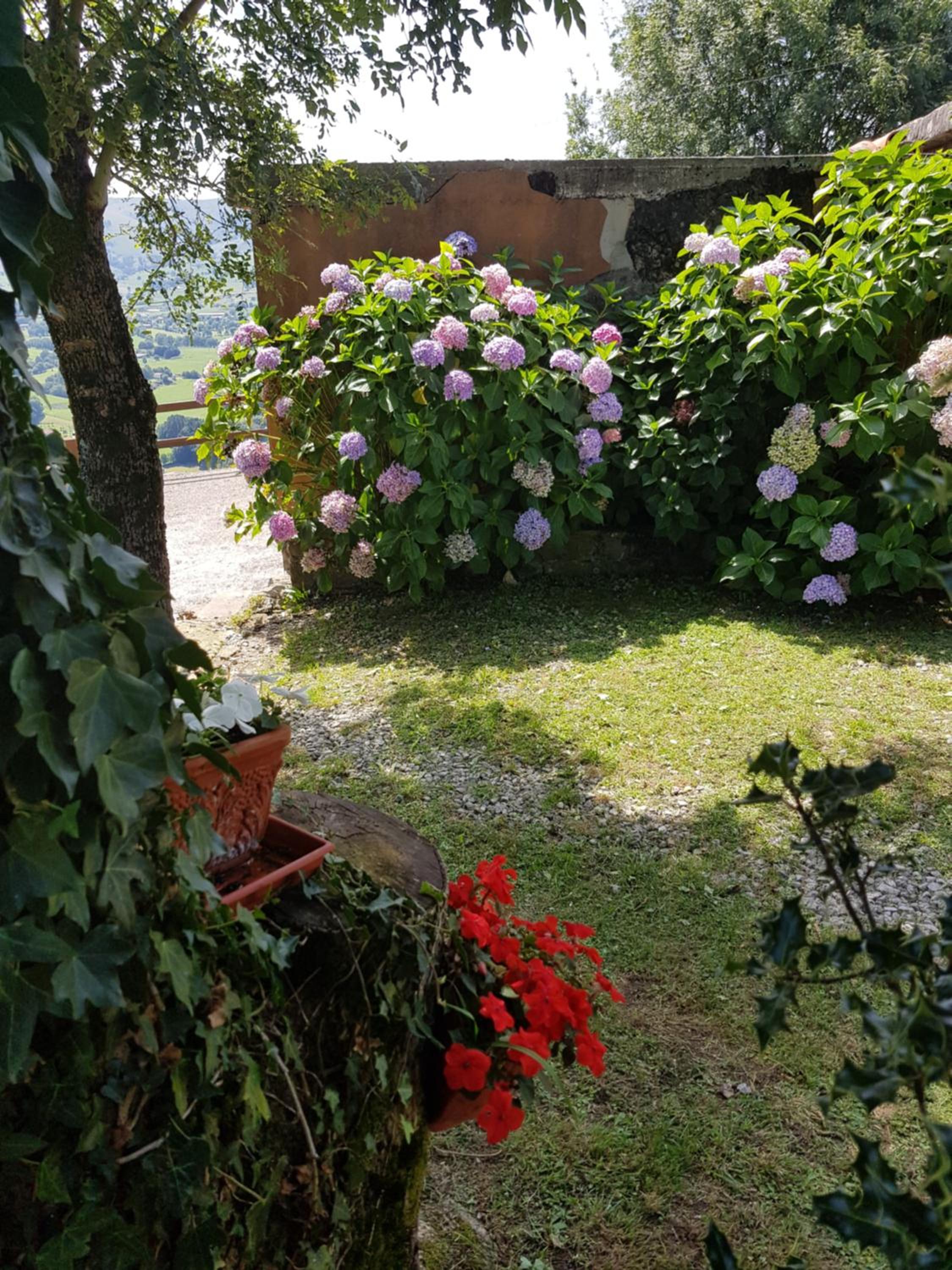 Photo 36