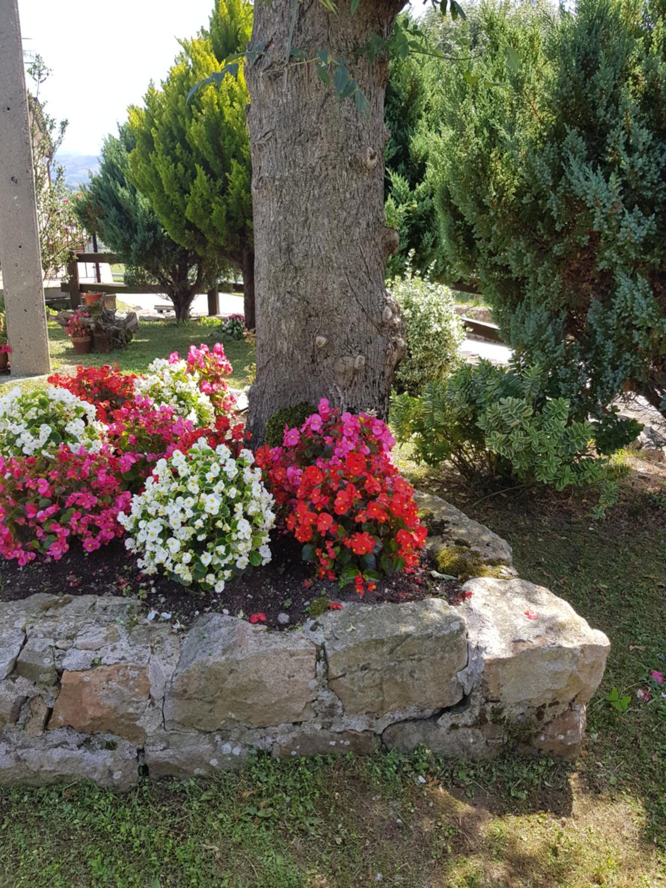 Photo 34