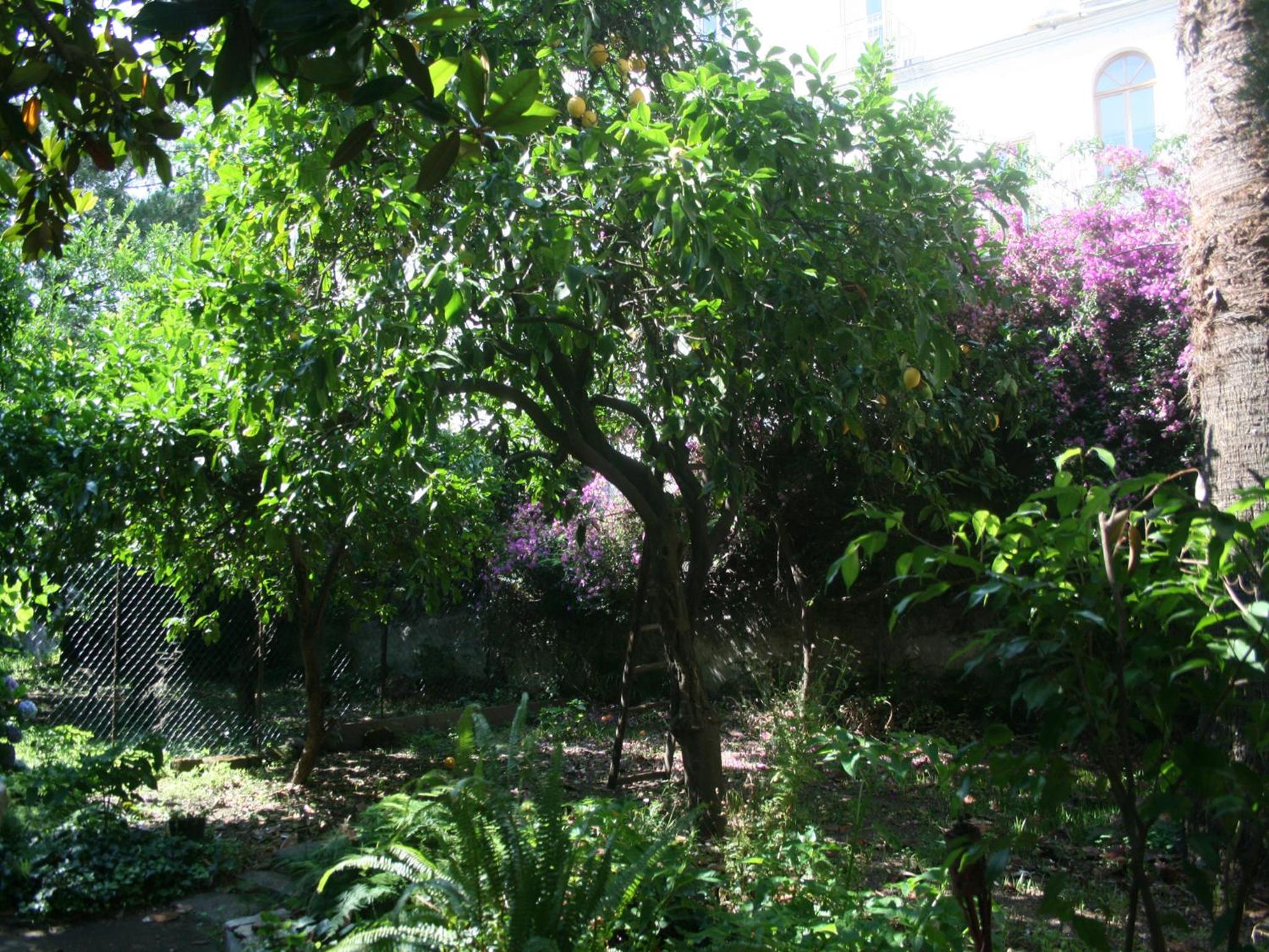 Photo 59