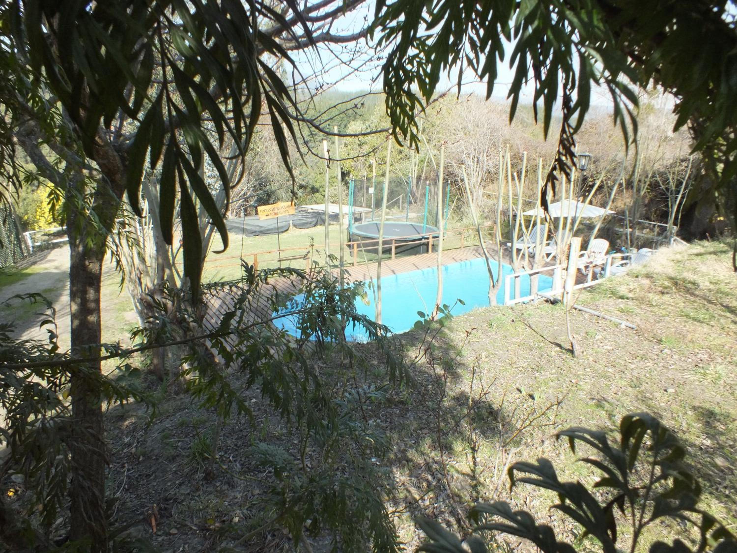Photo 46