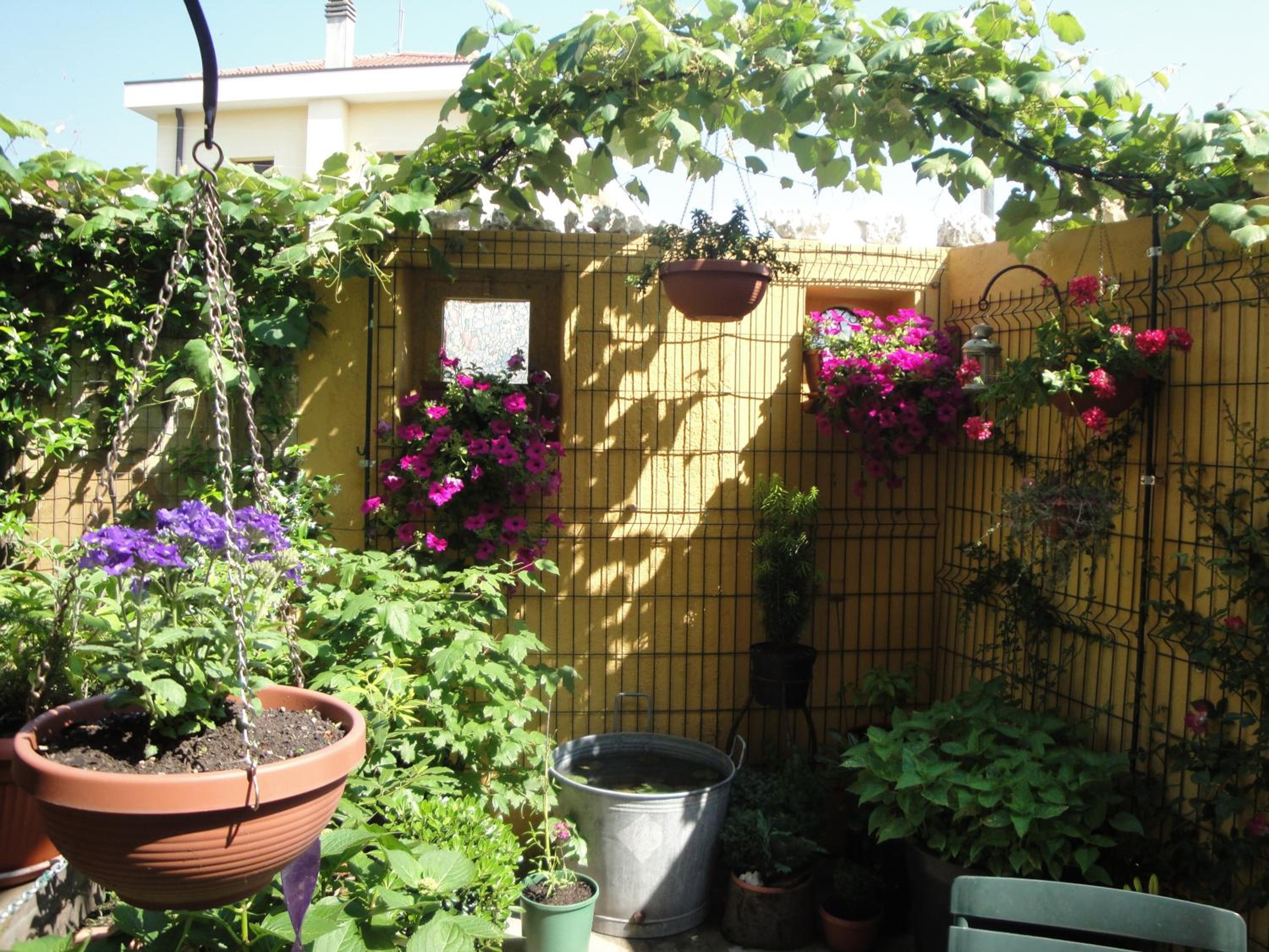 Photo 21