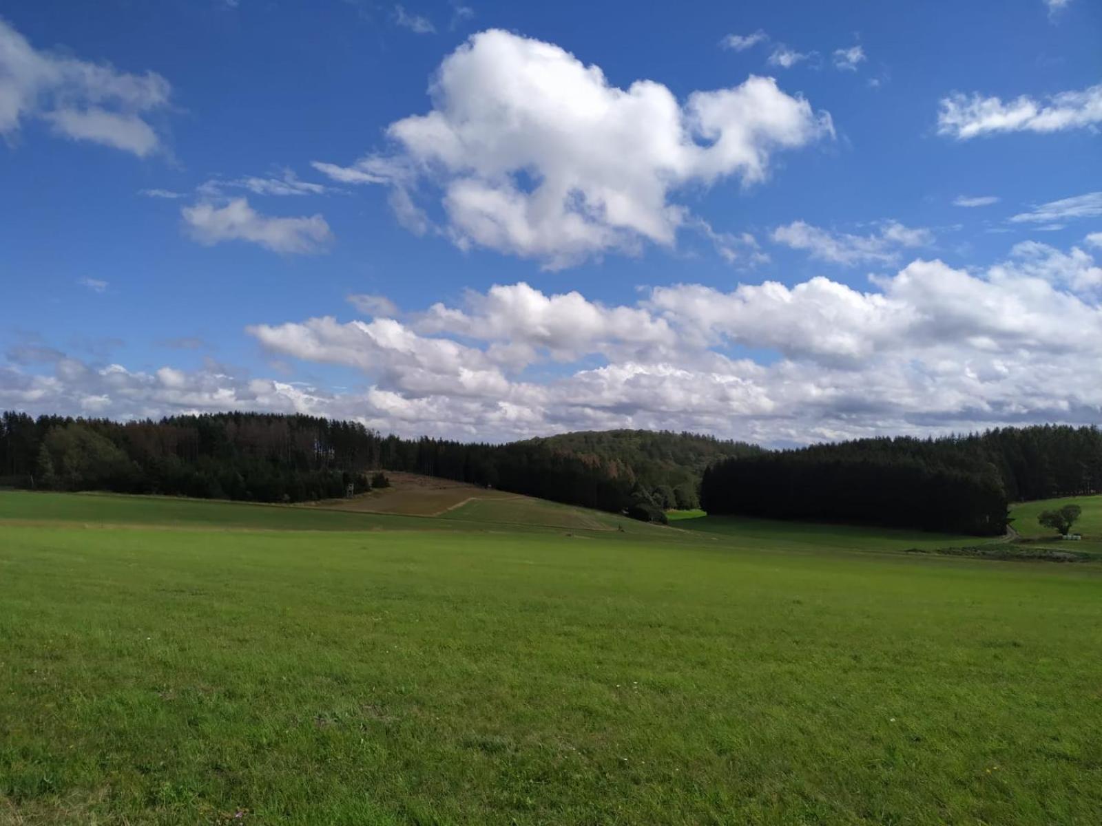 Ferienhaus Winterberg