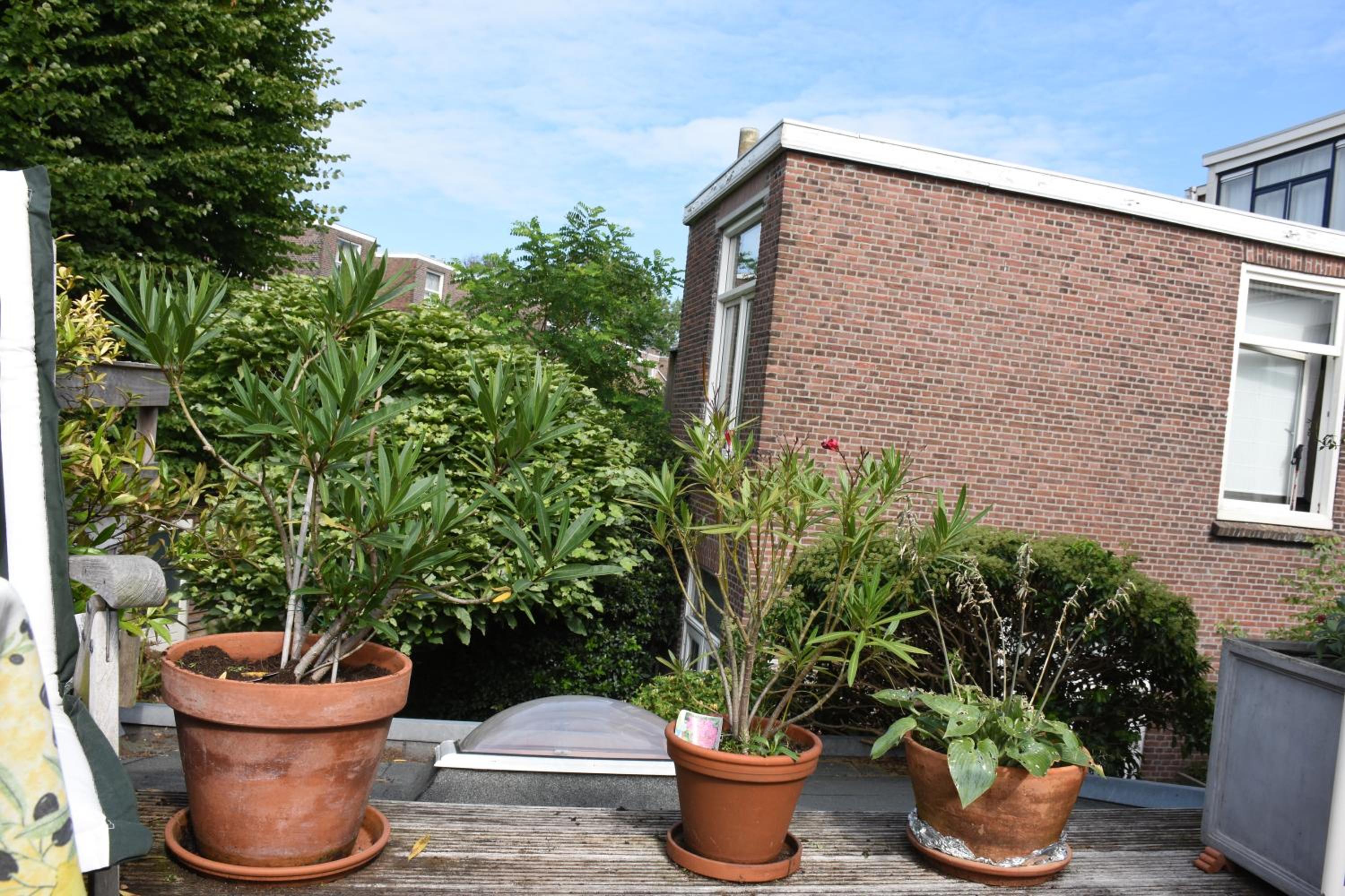 Bed & Breakfast Leonie view 5