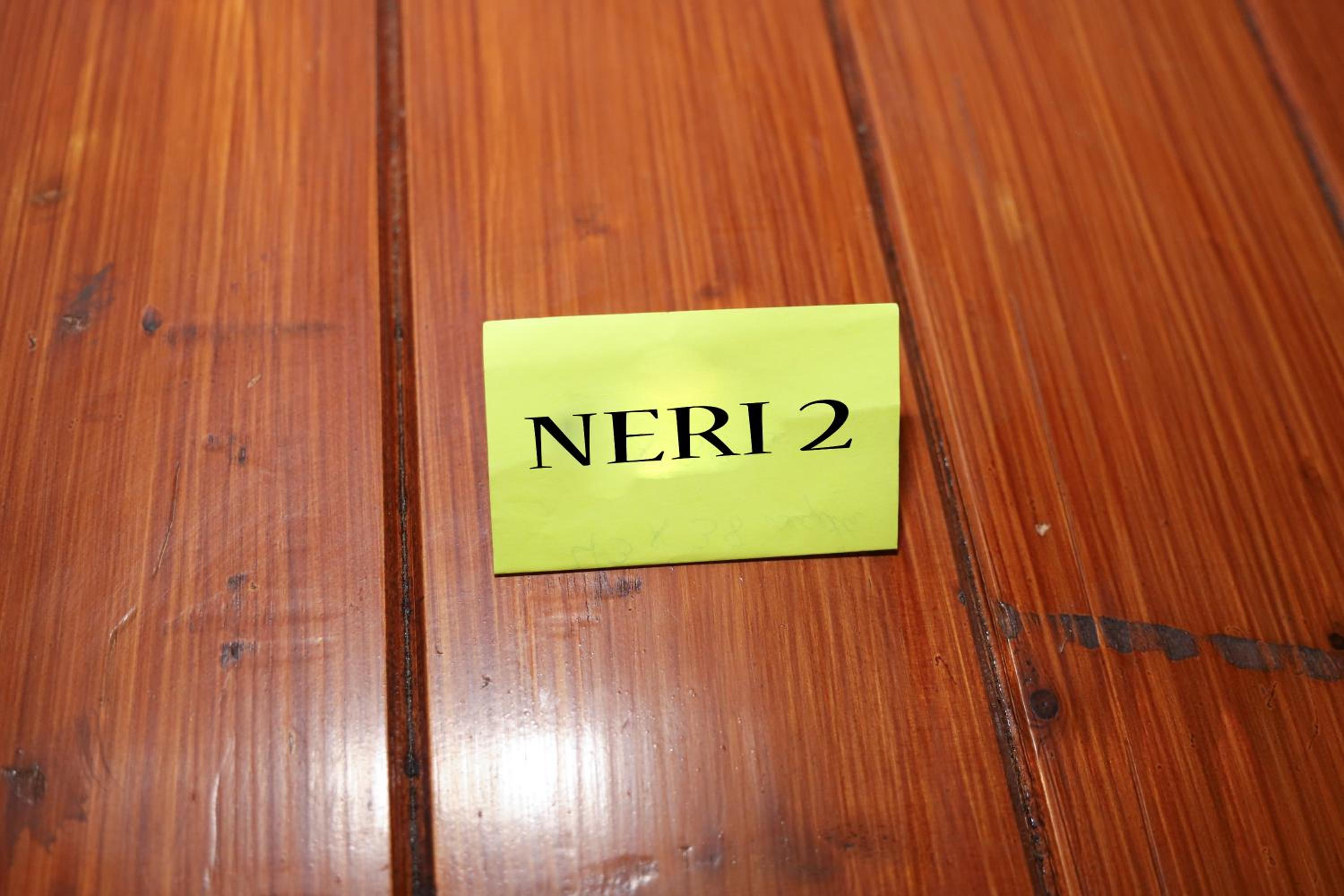Nerii 2