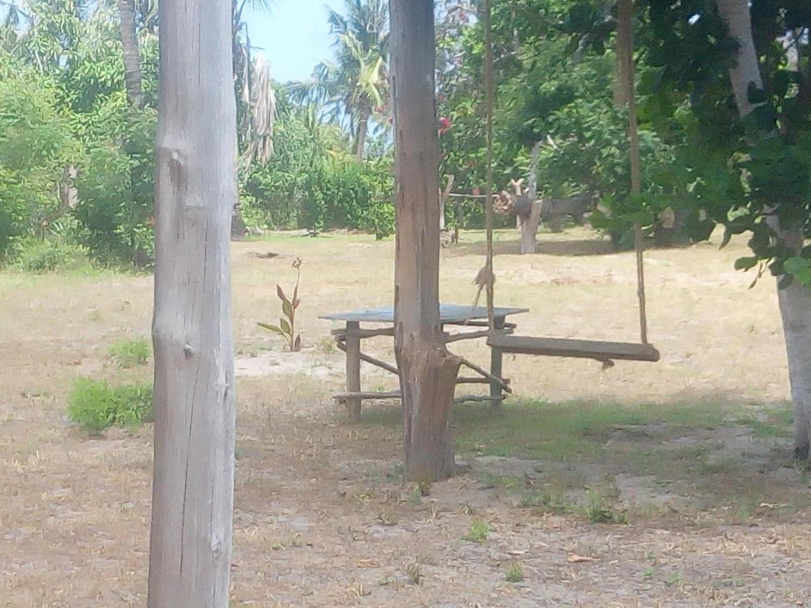 Photo 42