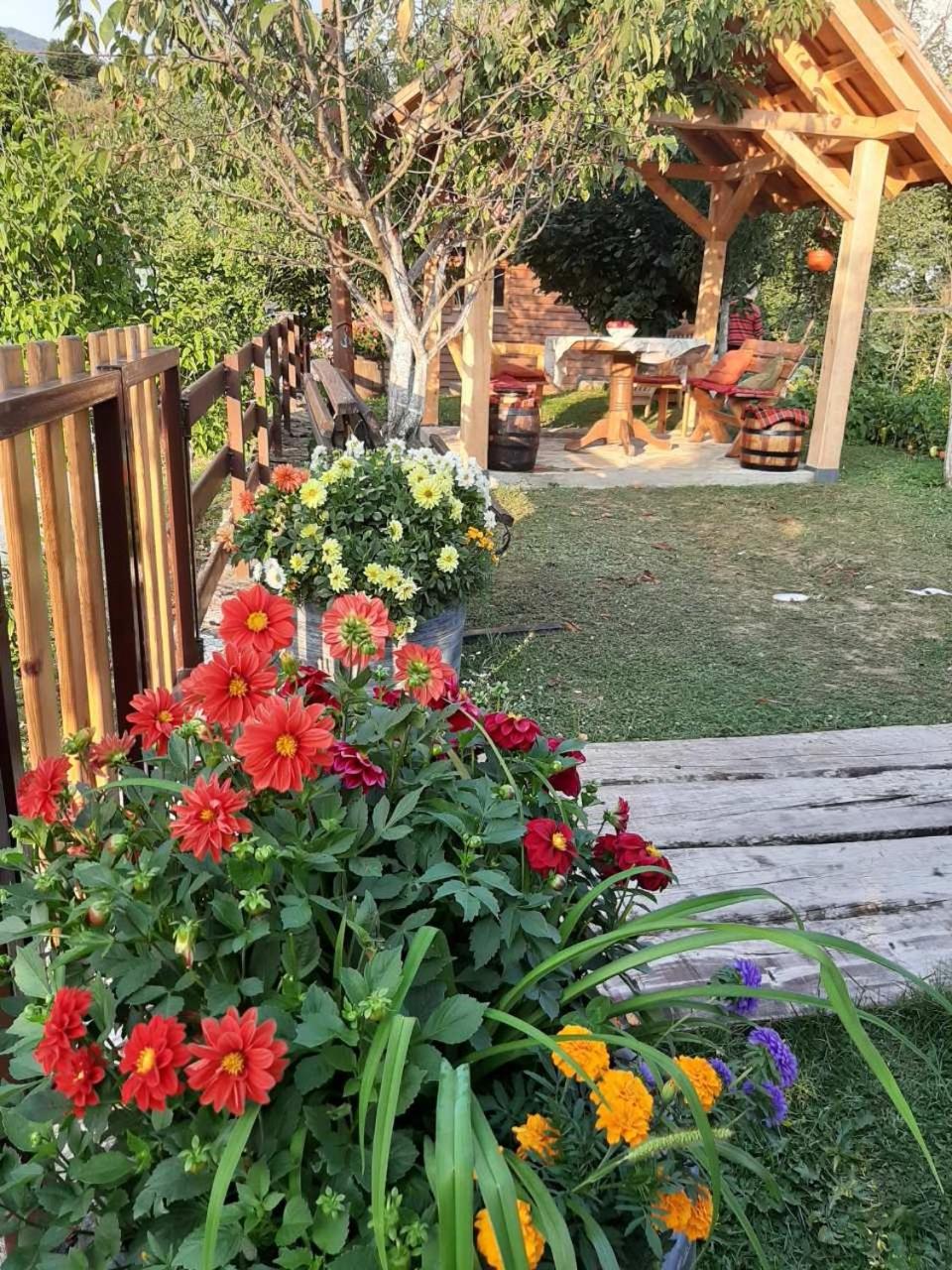 Photo 21