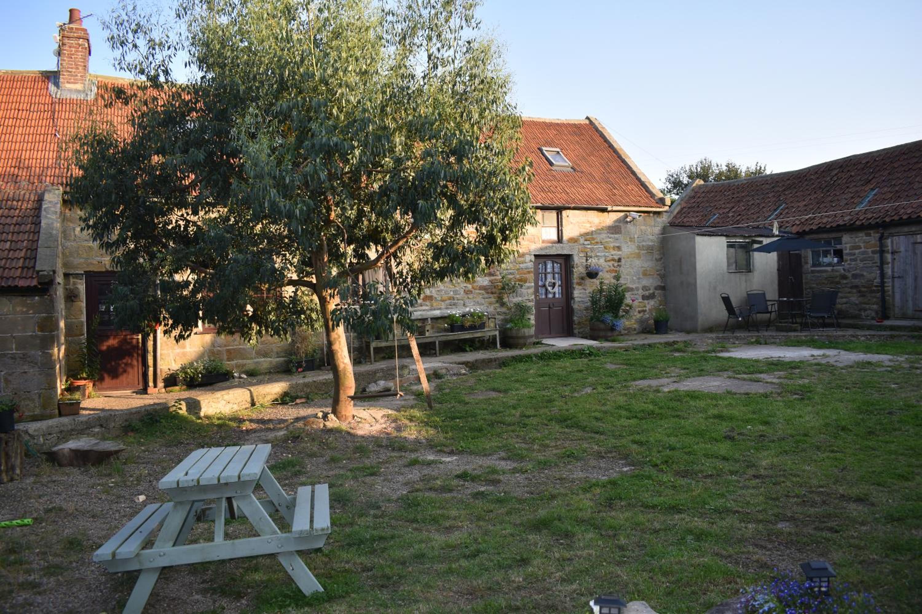 Photo 19