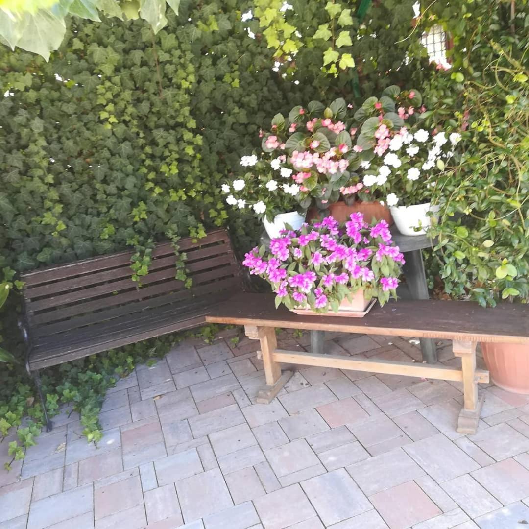 La Casina appartamento vacanze Assisi