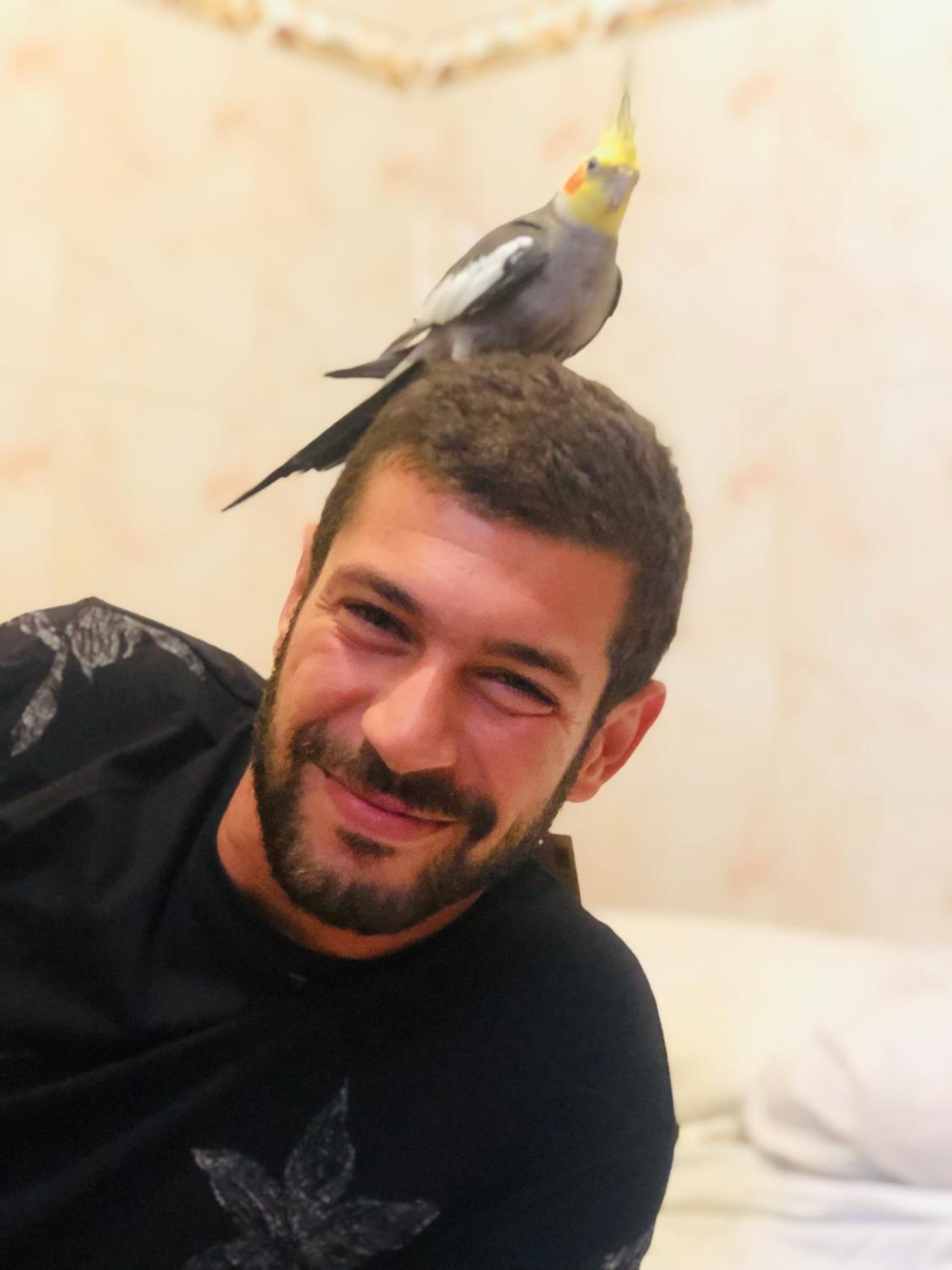 human