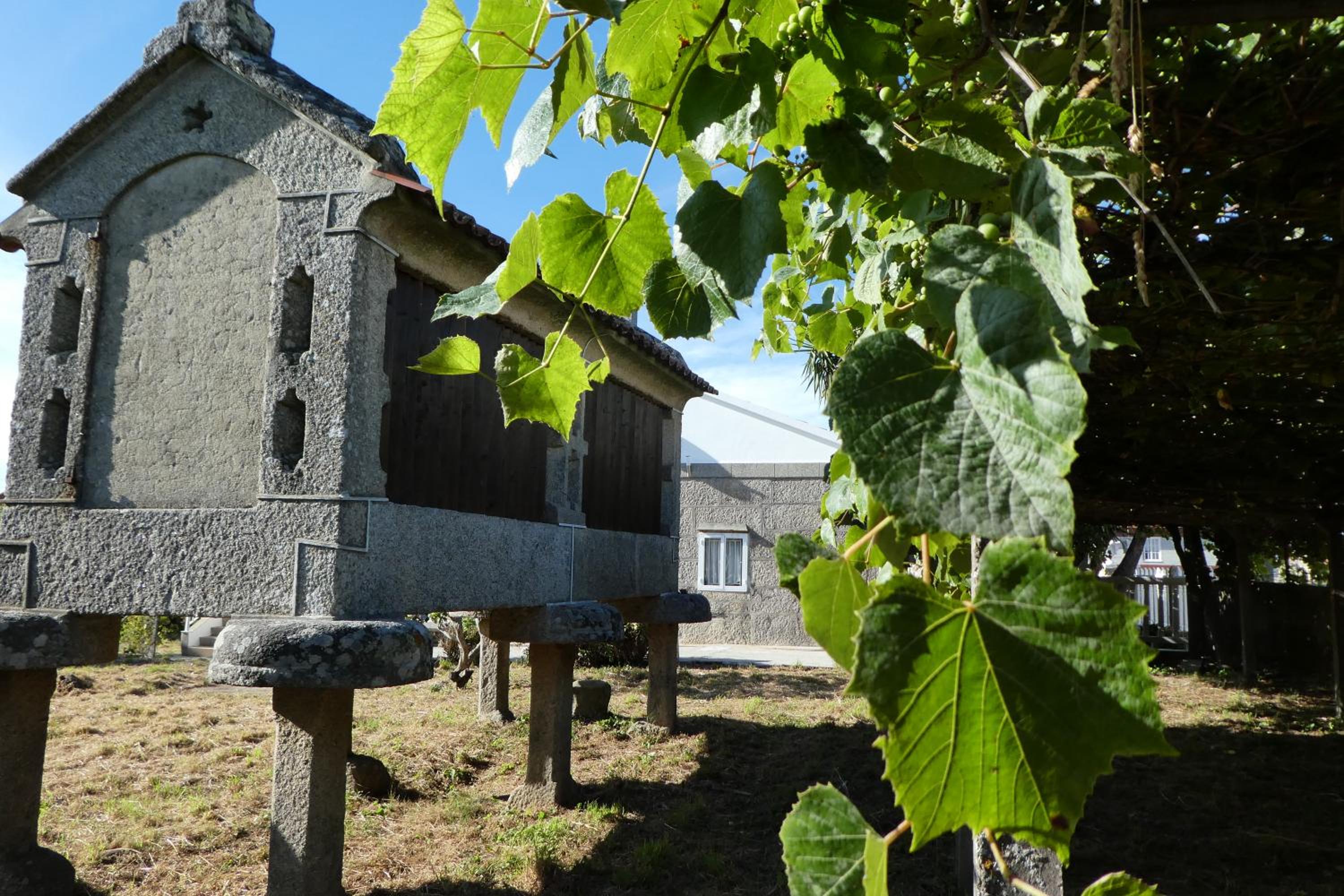 Casa rural Don Armando
