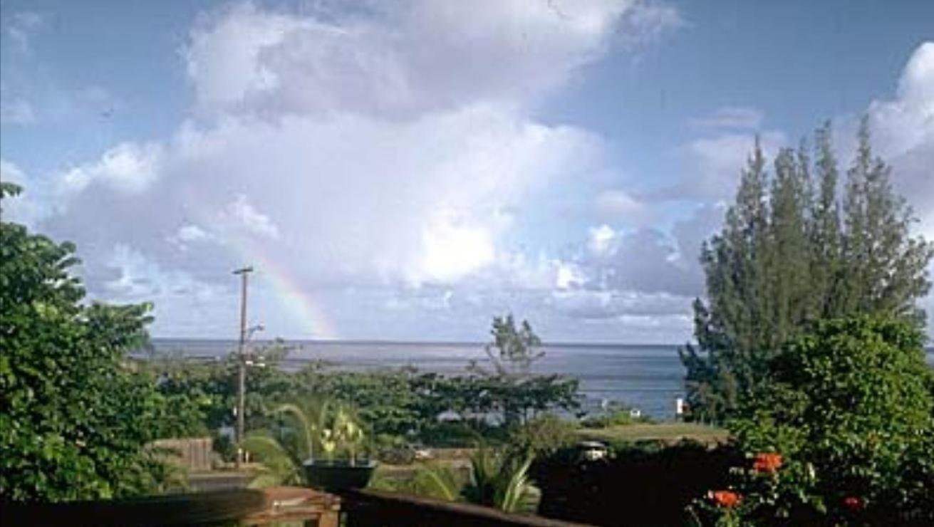 Backpackers Vacation Inn and Plantation Village