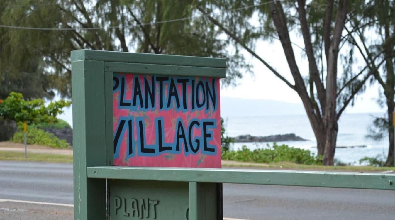 Backpackers Vacation Inn and Plantation Village