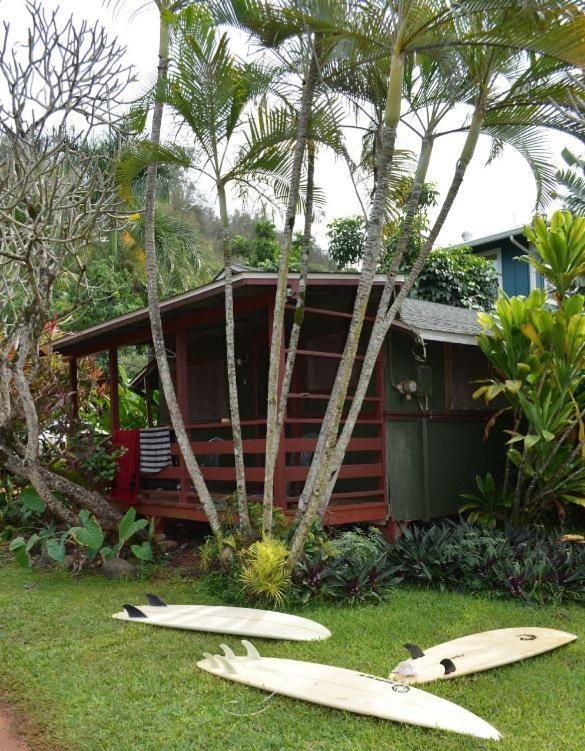 Backpackers Vacation Inn and Plantation Village