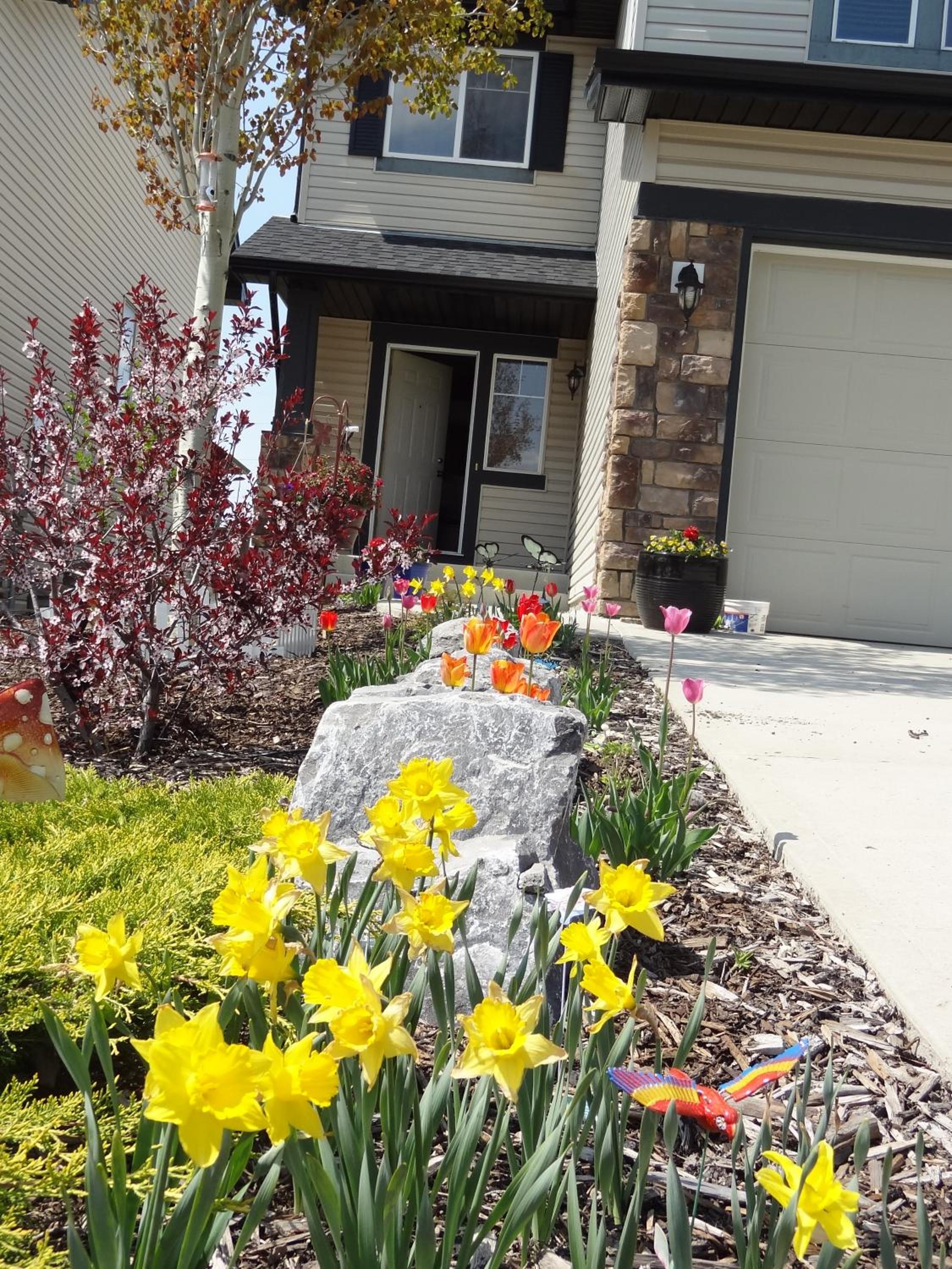 民宿Ann's House in Calgary