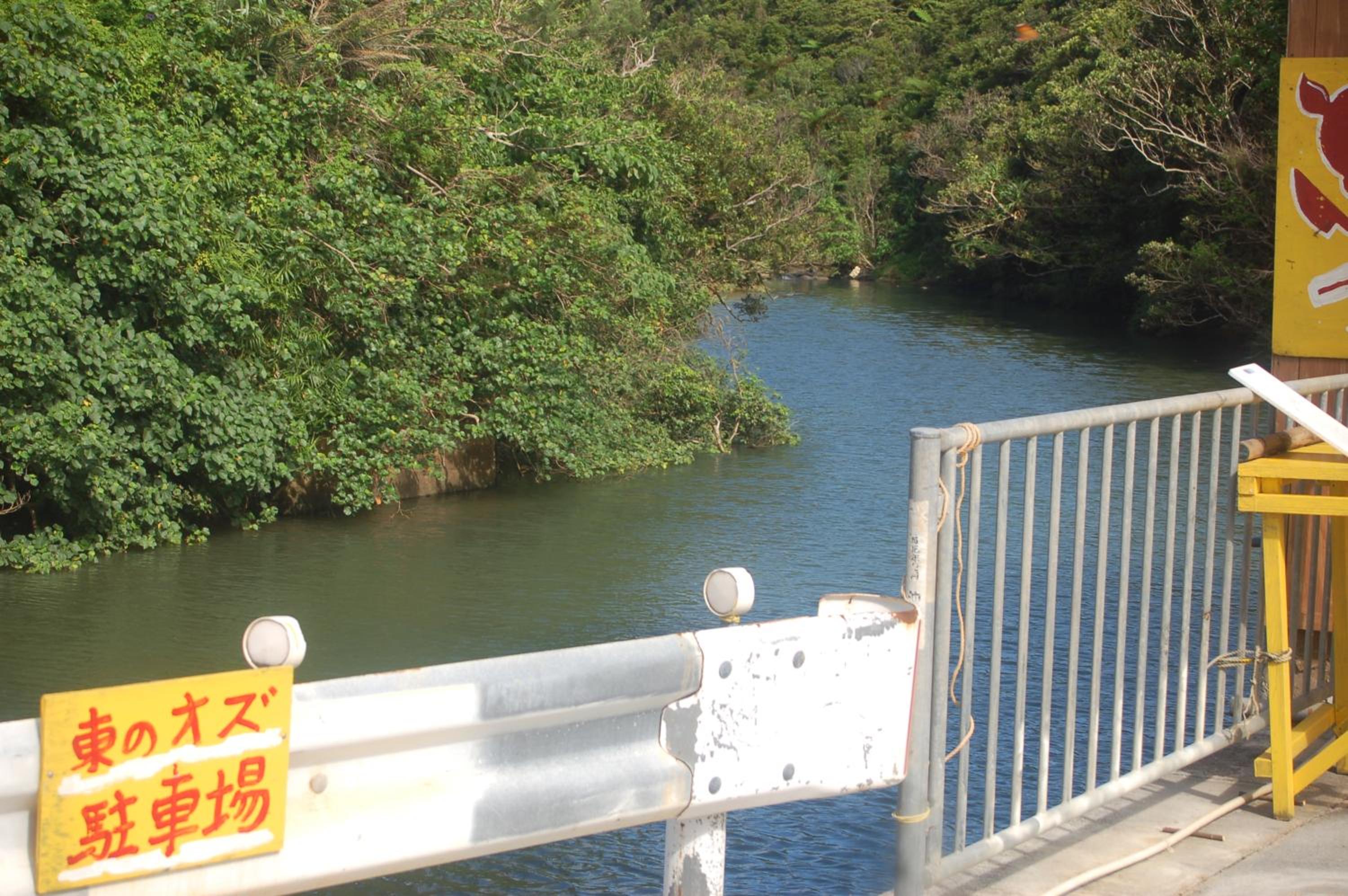 東のオズ view 5