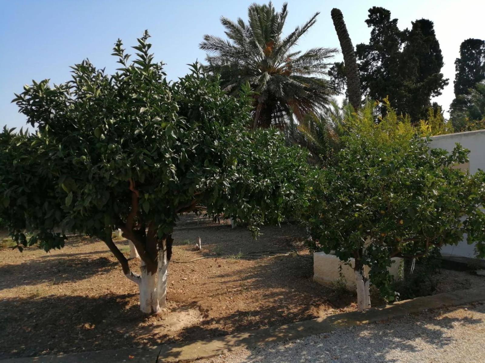 Photo 14