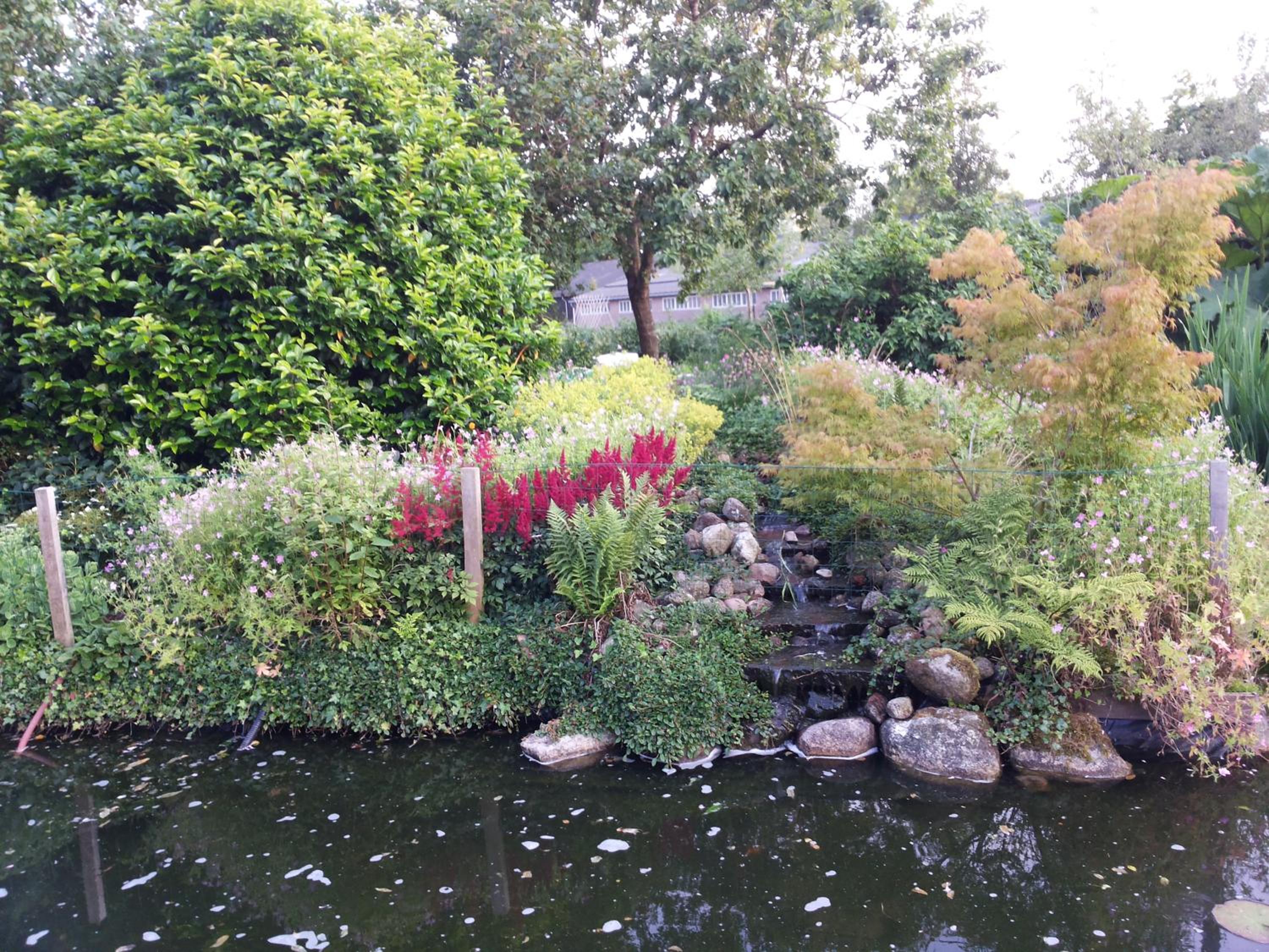 Photo 17