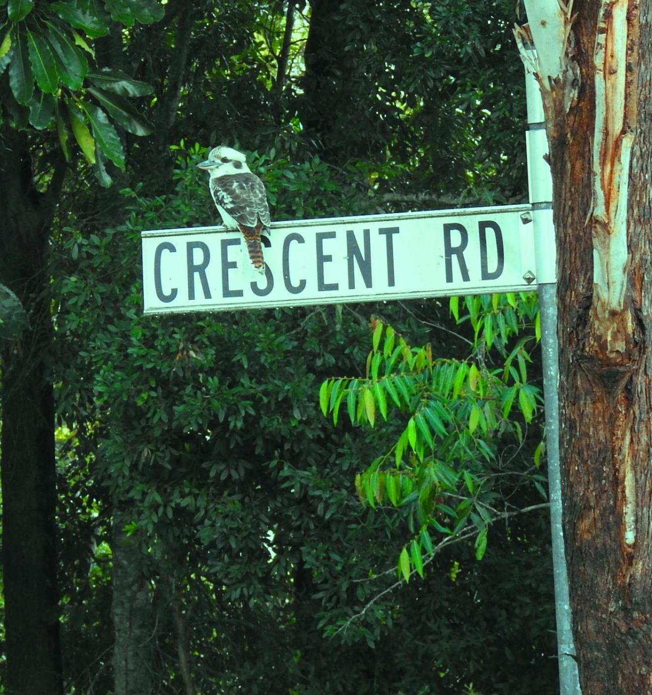 Eumundi Cottage in Town