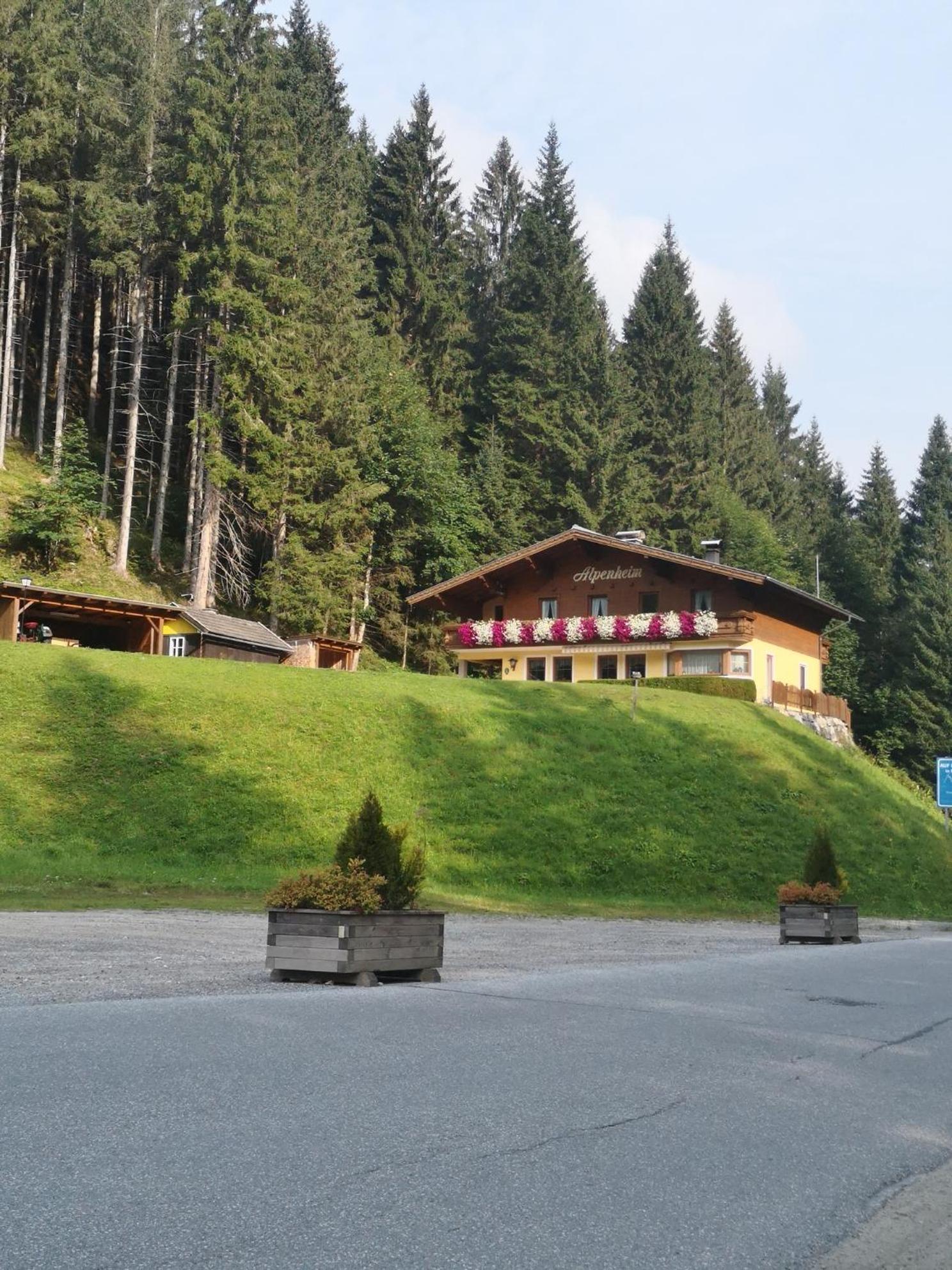 Haus Alpenheim