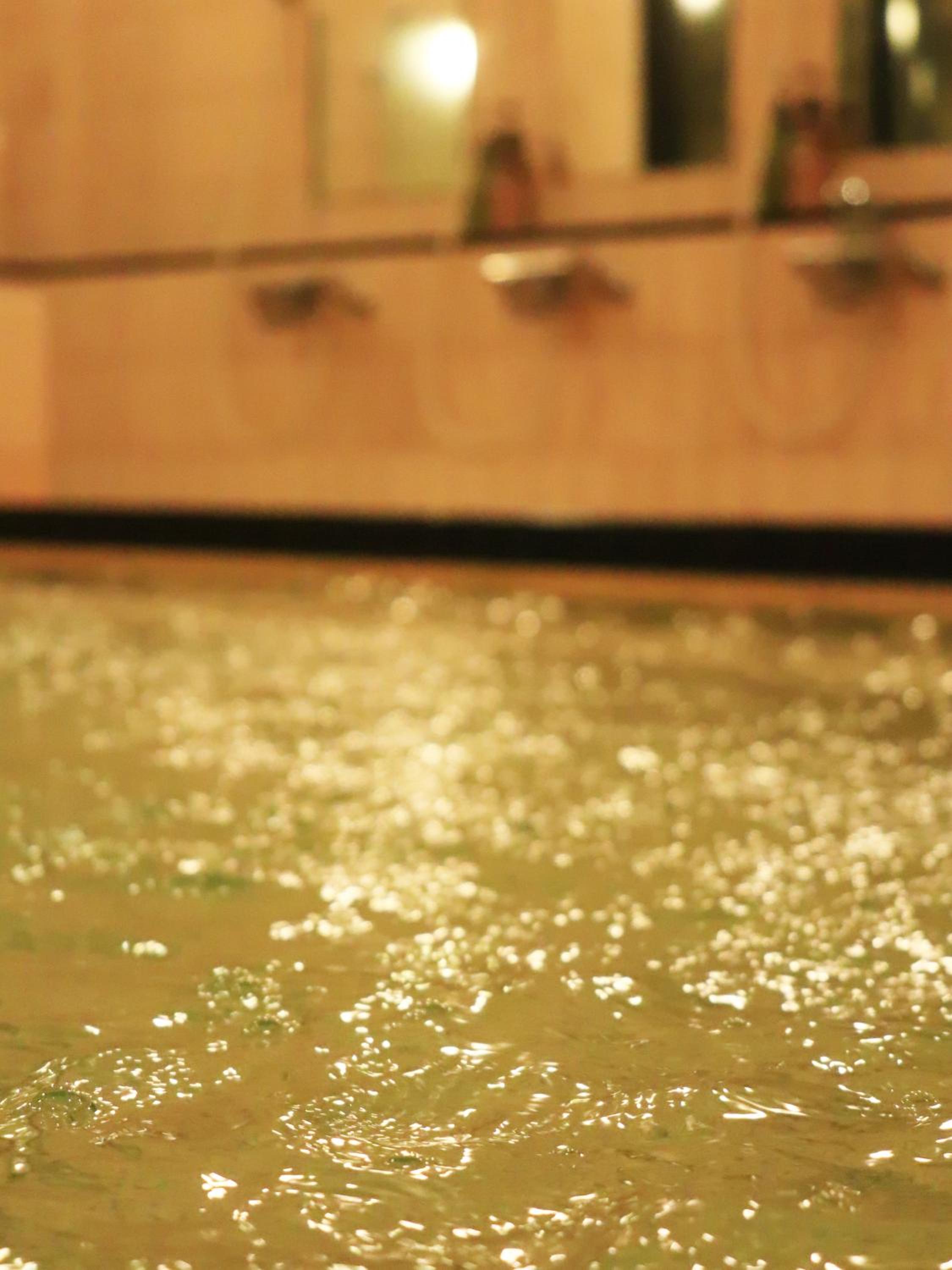 Izumiya Ryokan