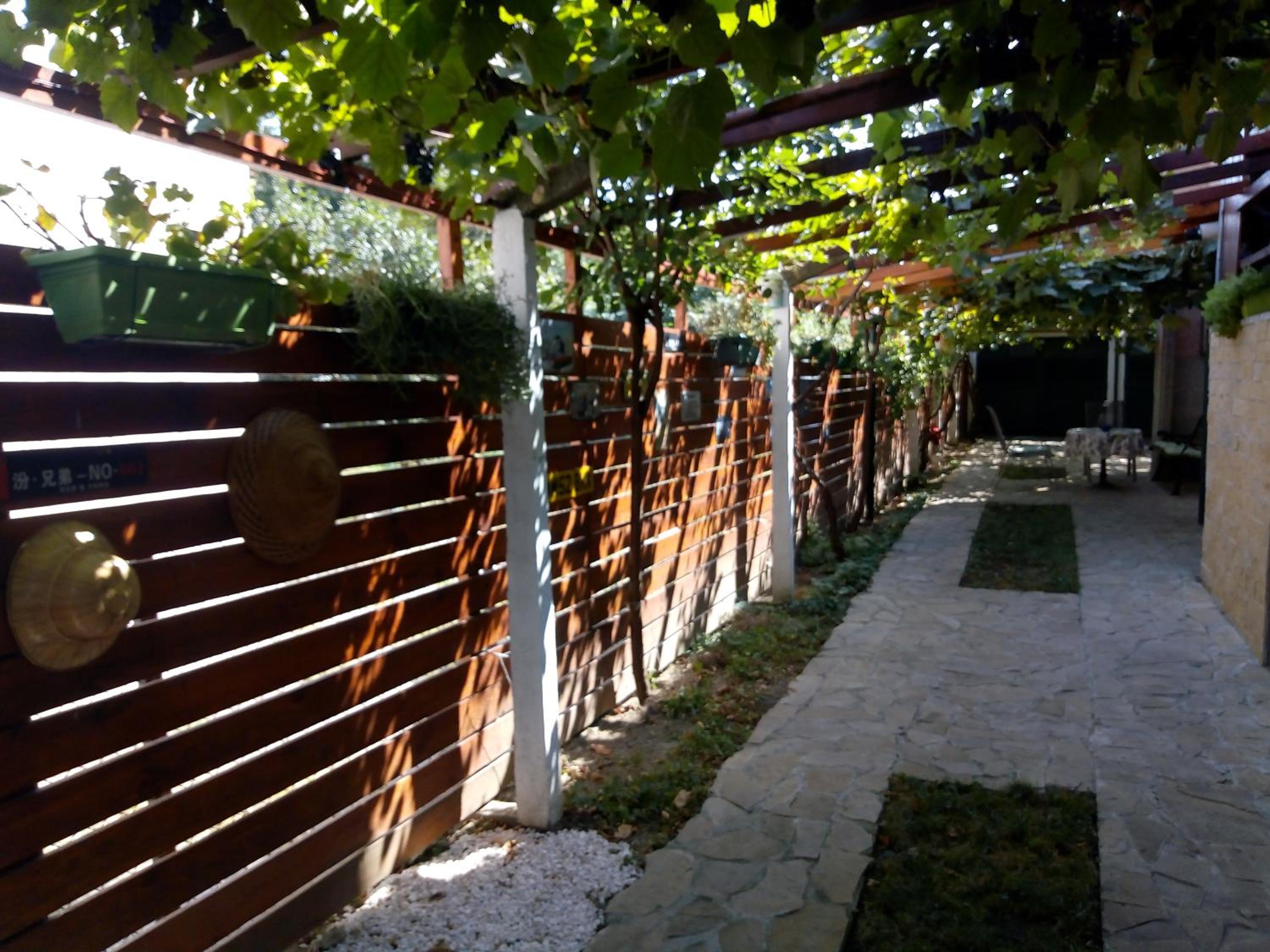 Photo 11