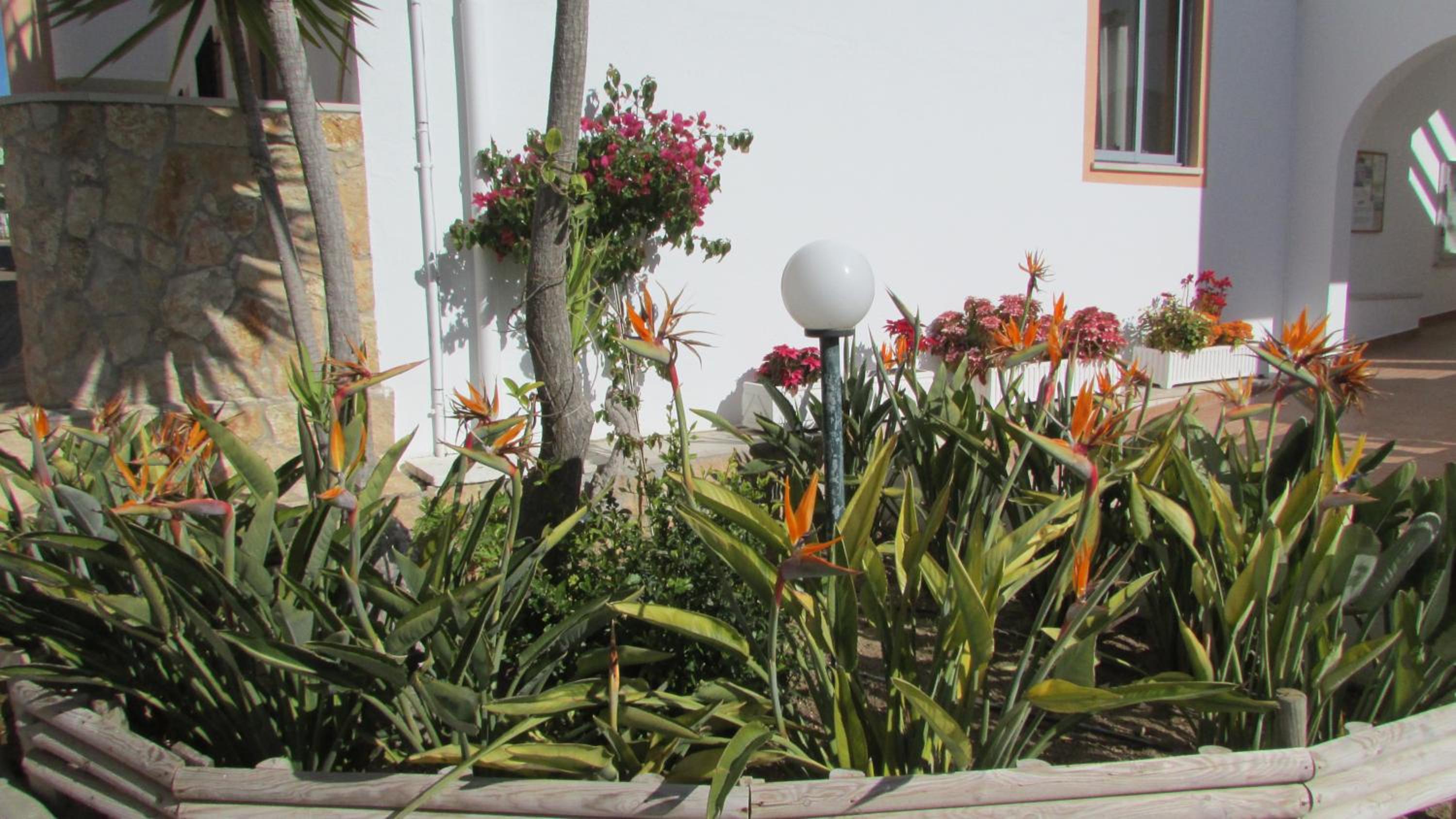 Photo 39