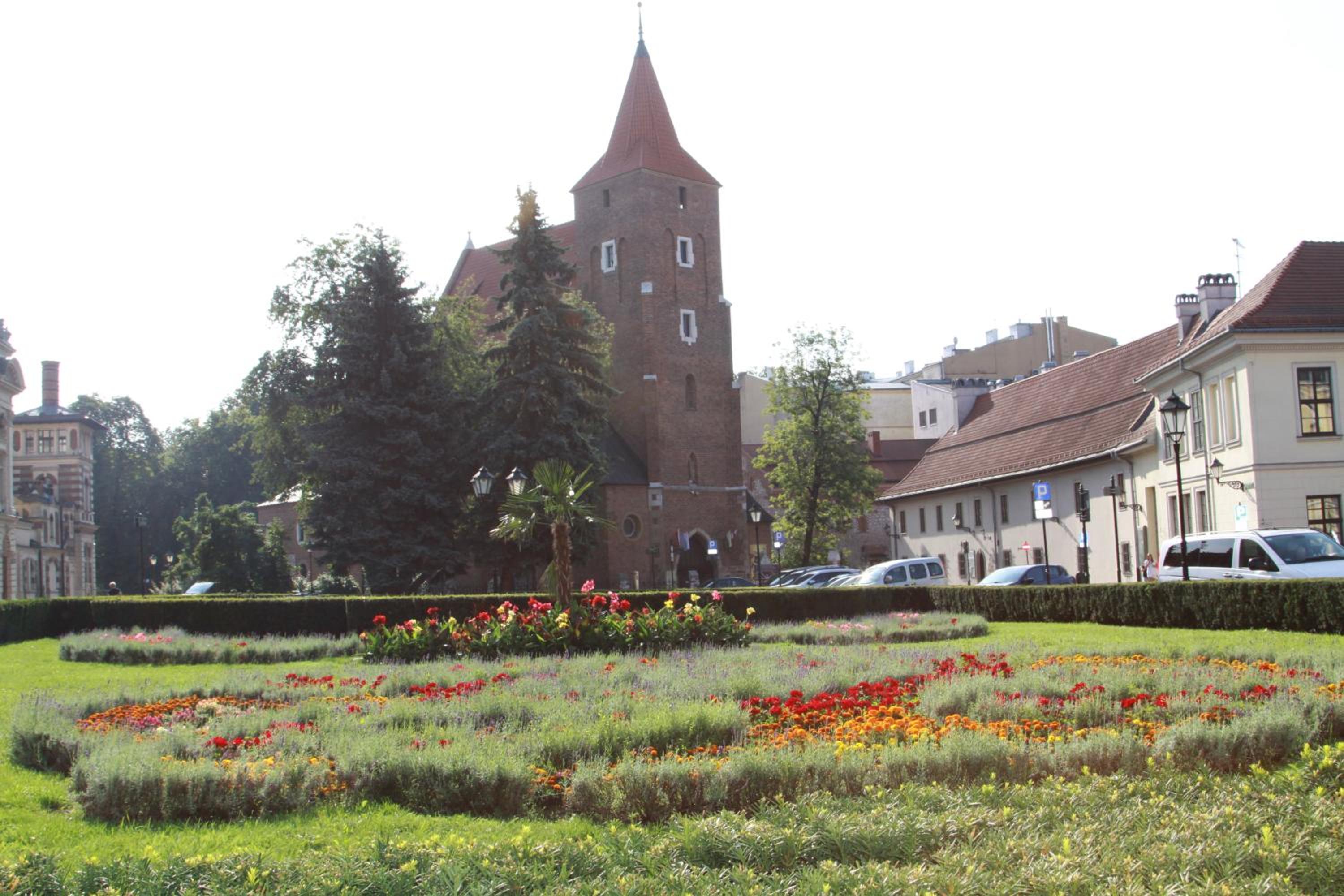 ap4you Tauron Cracow