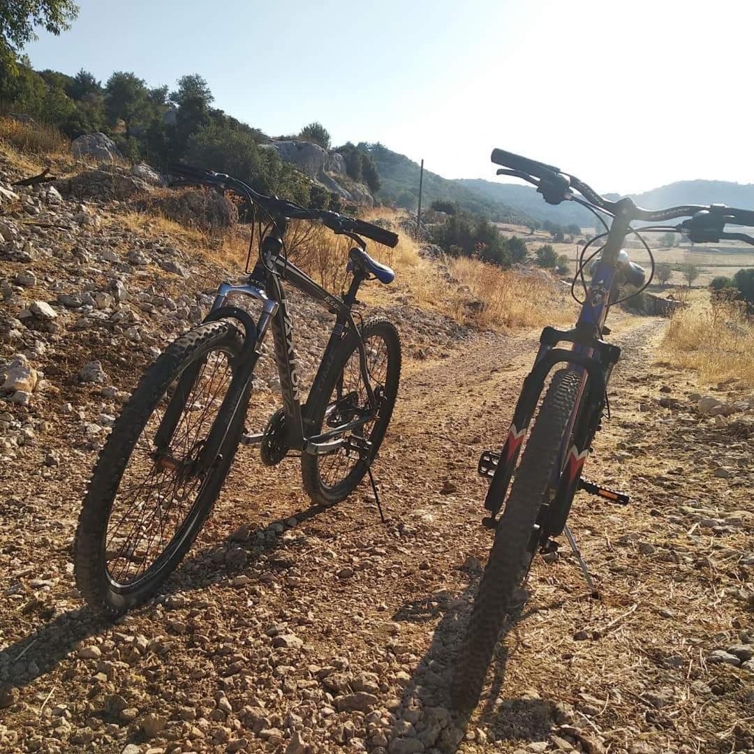 Hotel Likya SUP Apart - Image 1