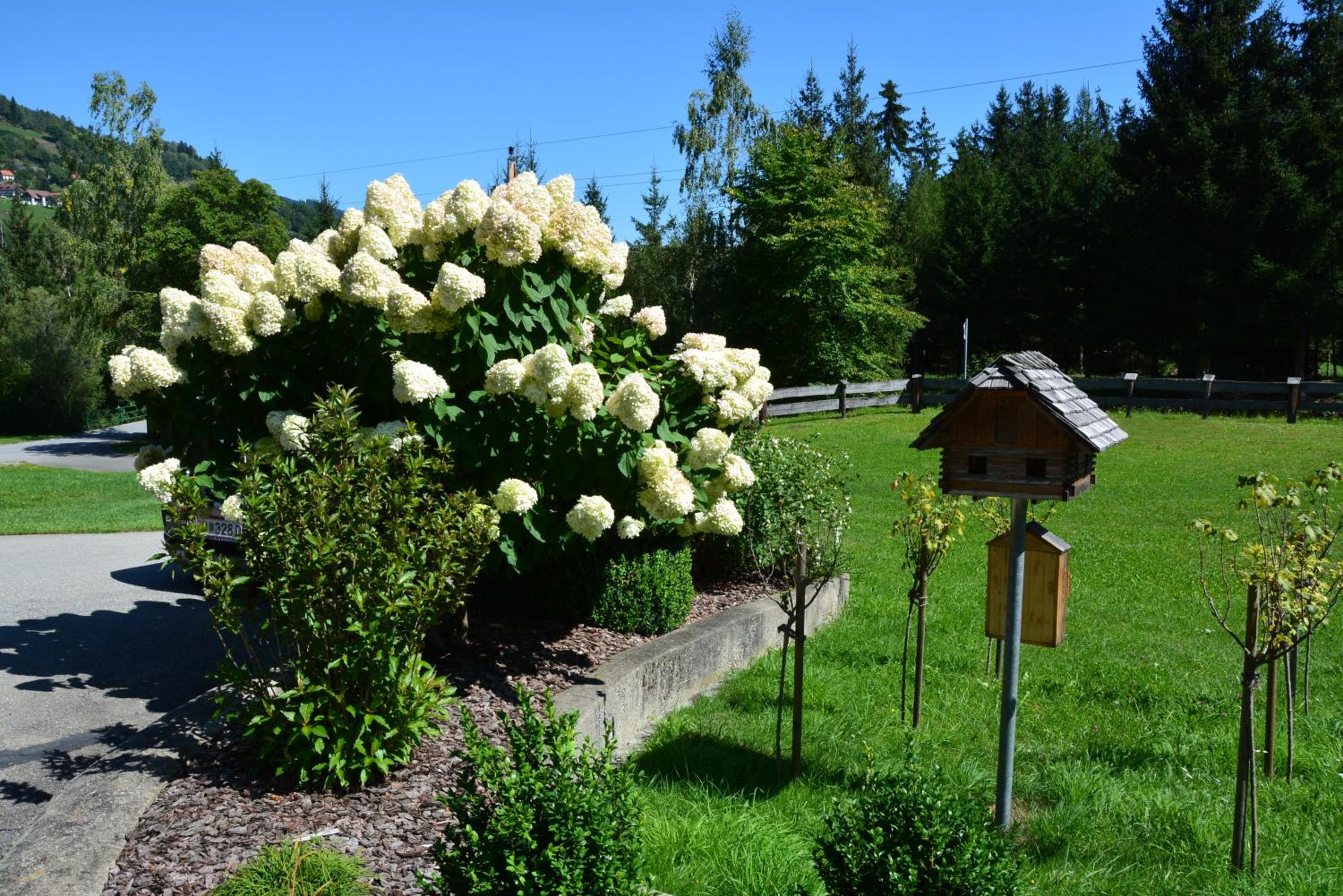 Photo 25