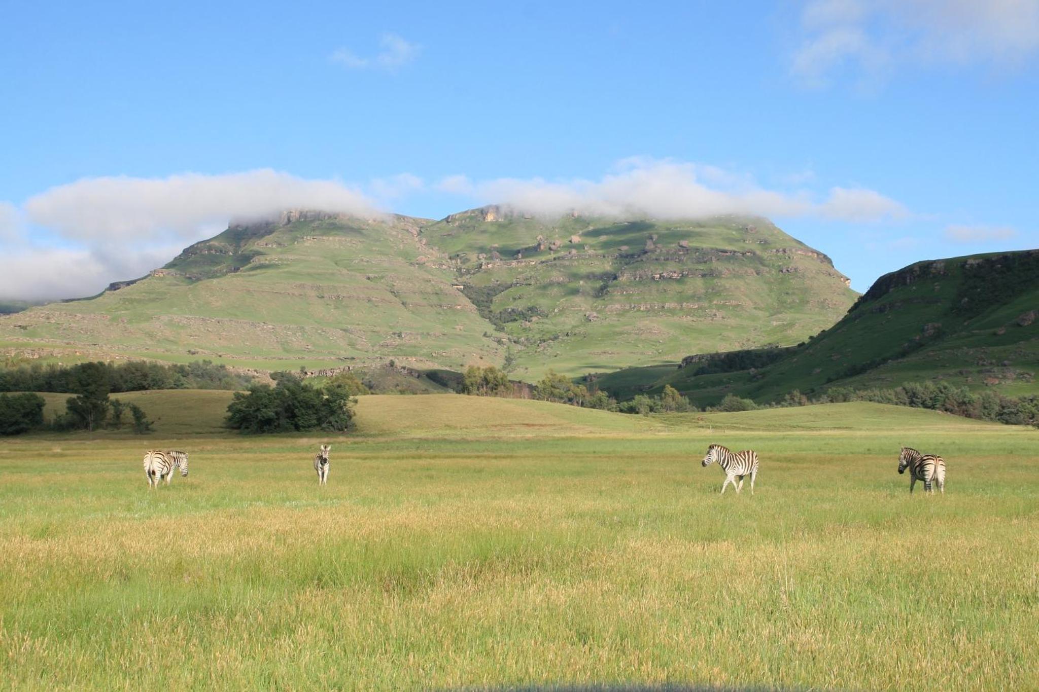 Sani Valley Nature Lodges