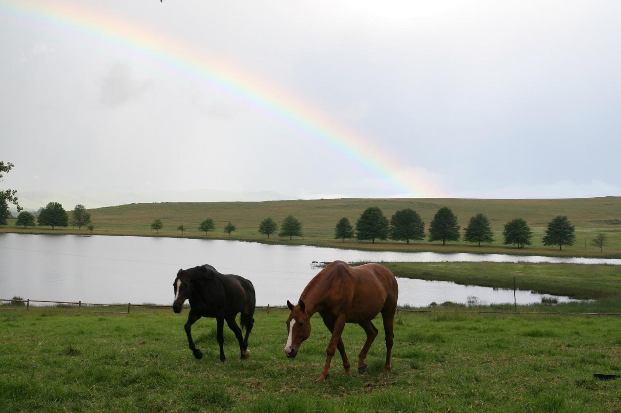 Sani Valley Nature Lodges