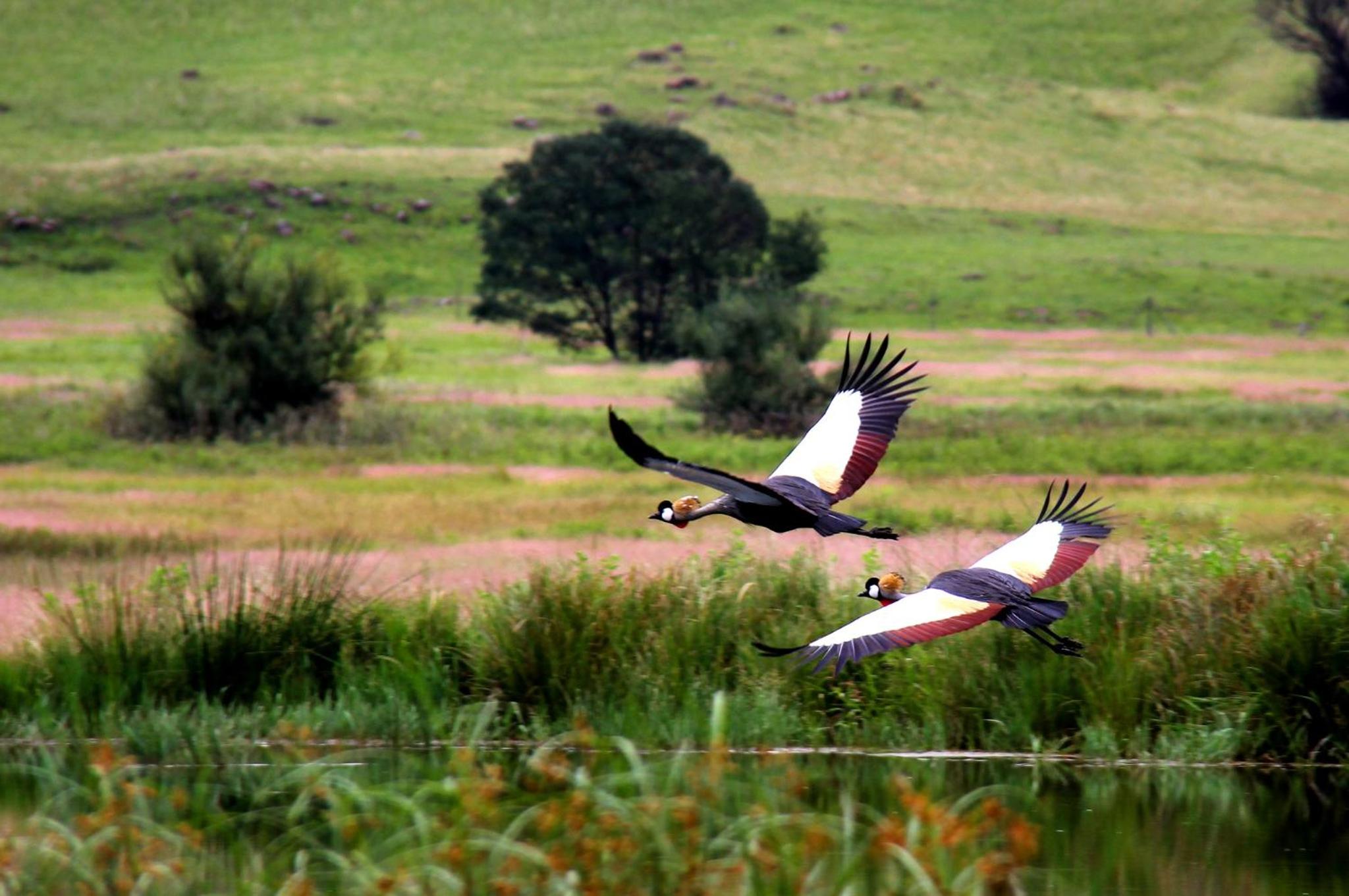 Sani Valley Nature Lodges