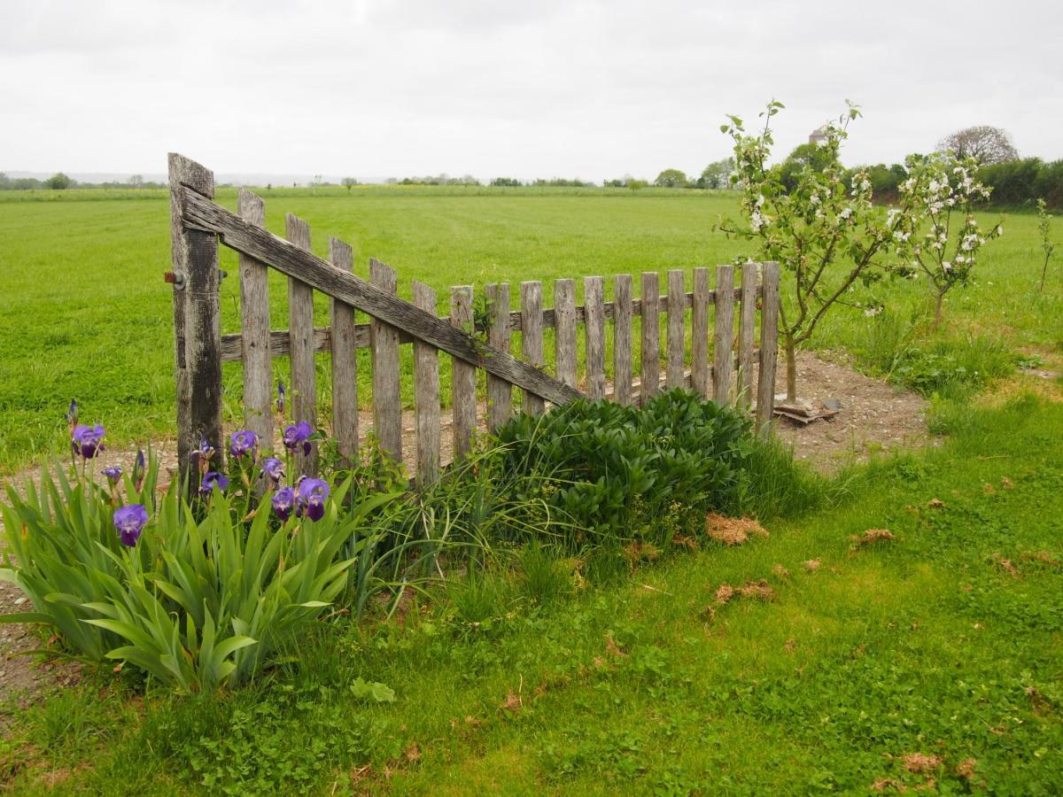 Photo 23