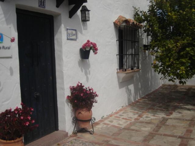 Photo 31