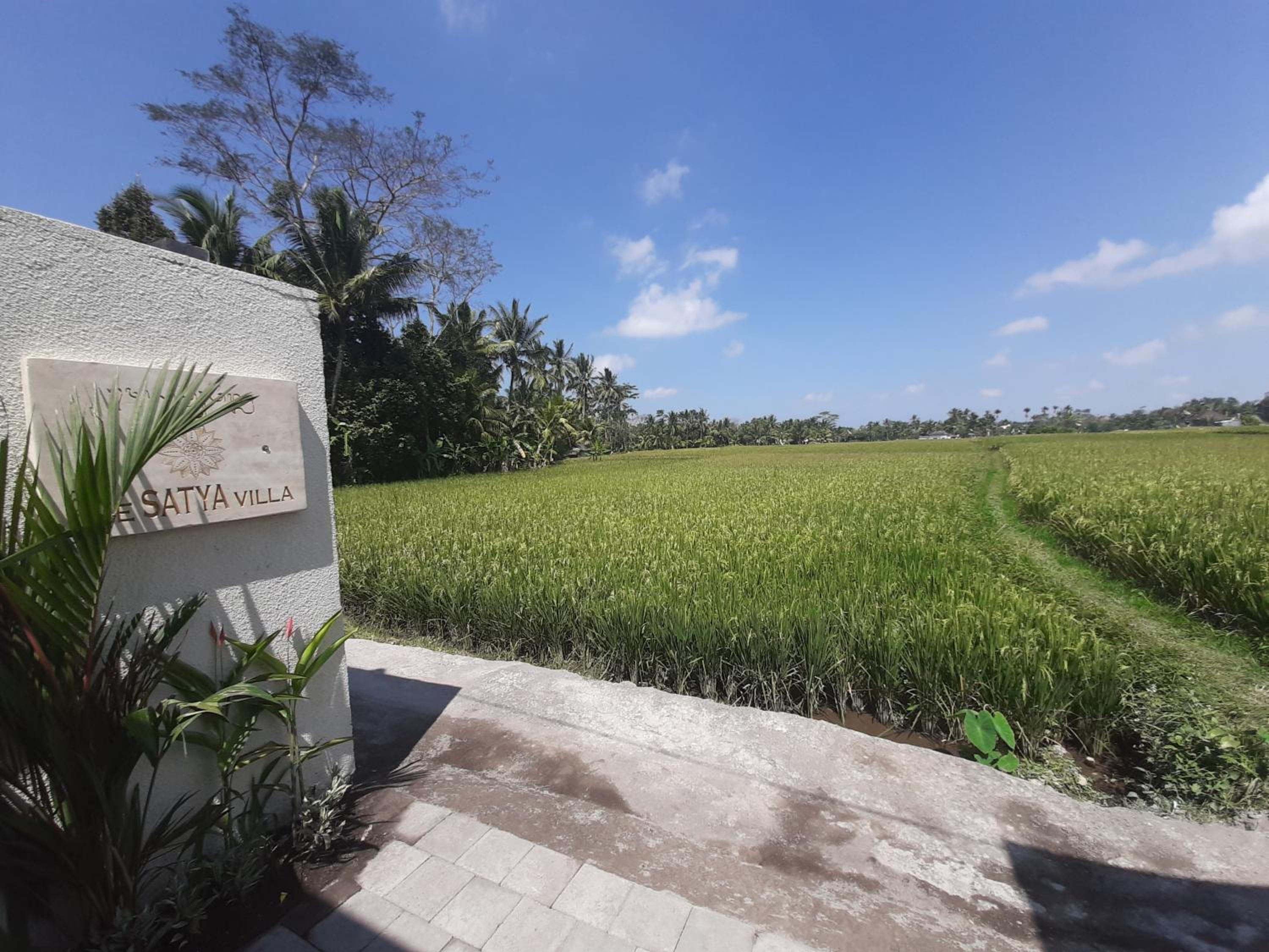 Hotel The Satya Villa