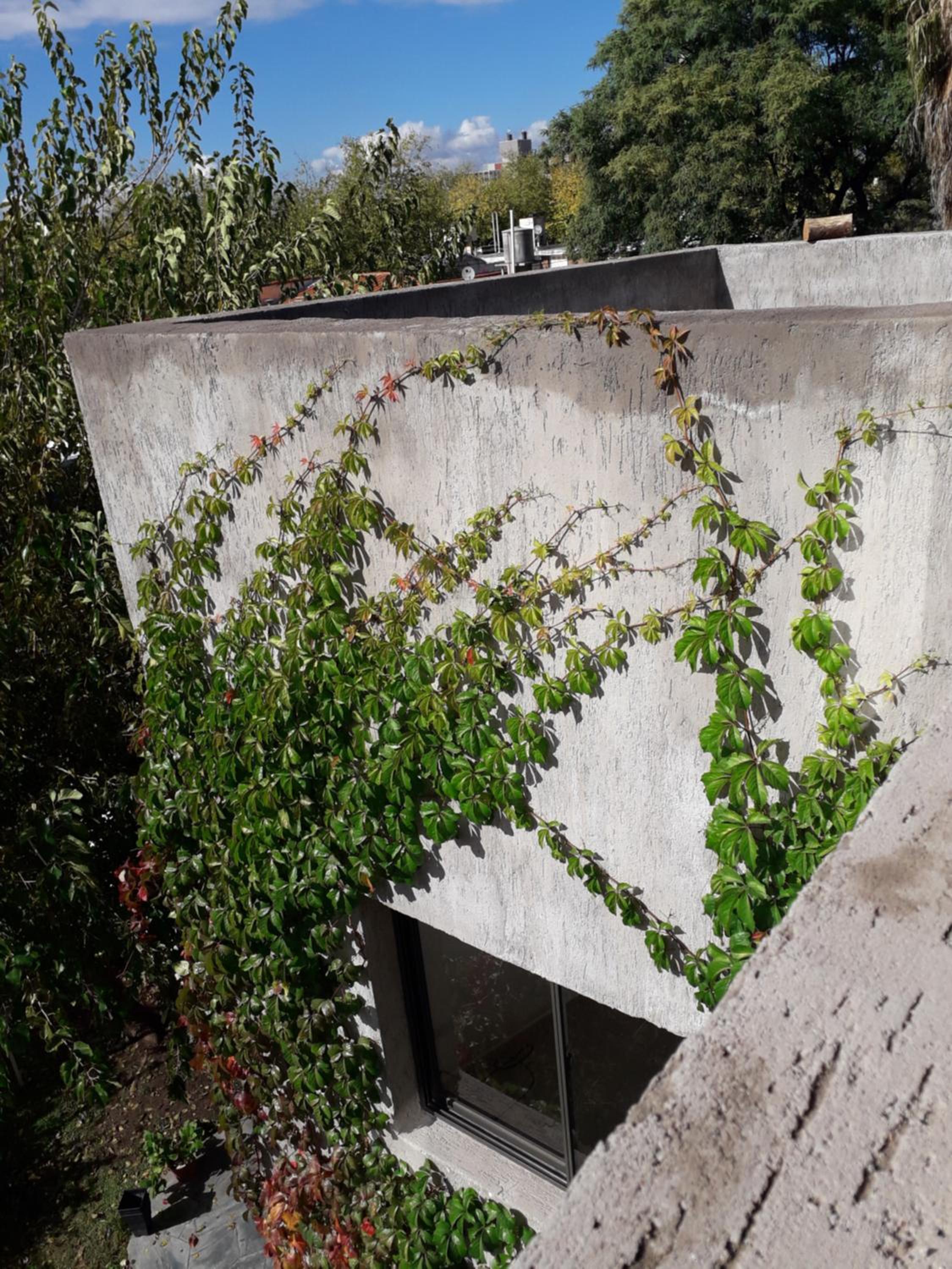 P3 Estratégico departamento para conocer Mendoza