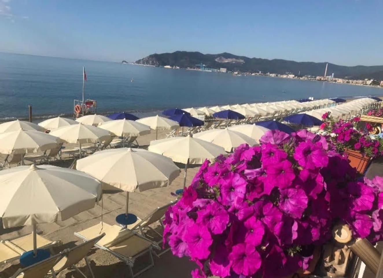 Violamare en Savona — activities & amenities