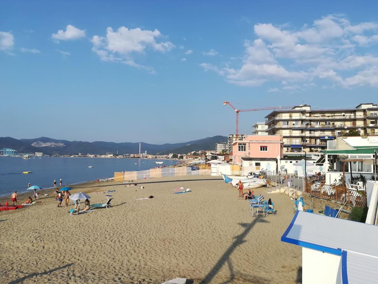 Violamare en Savona