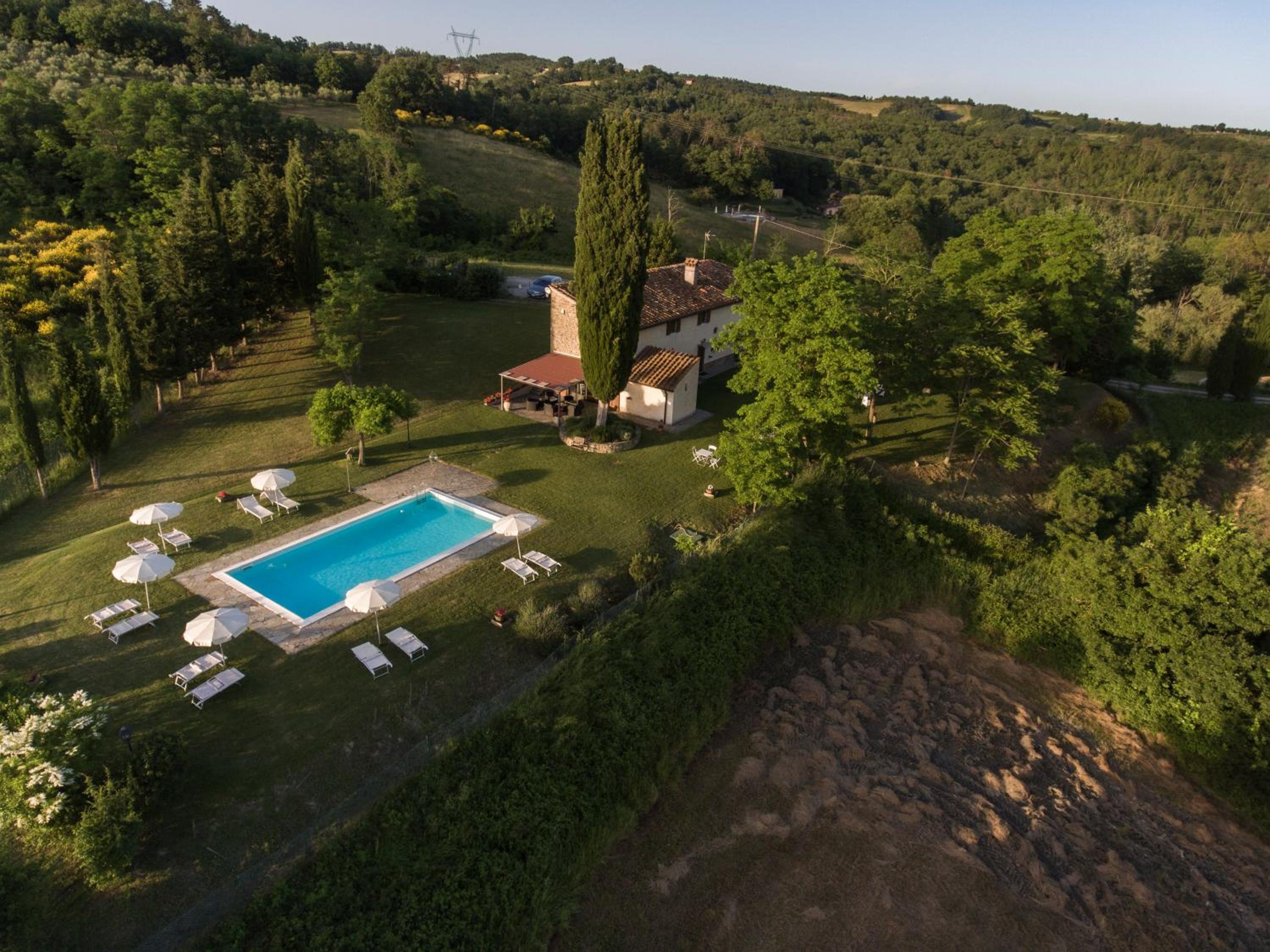 Il Vignolino