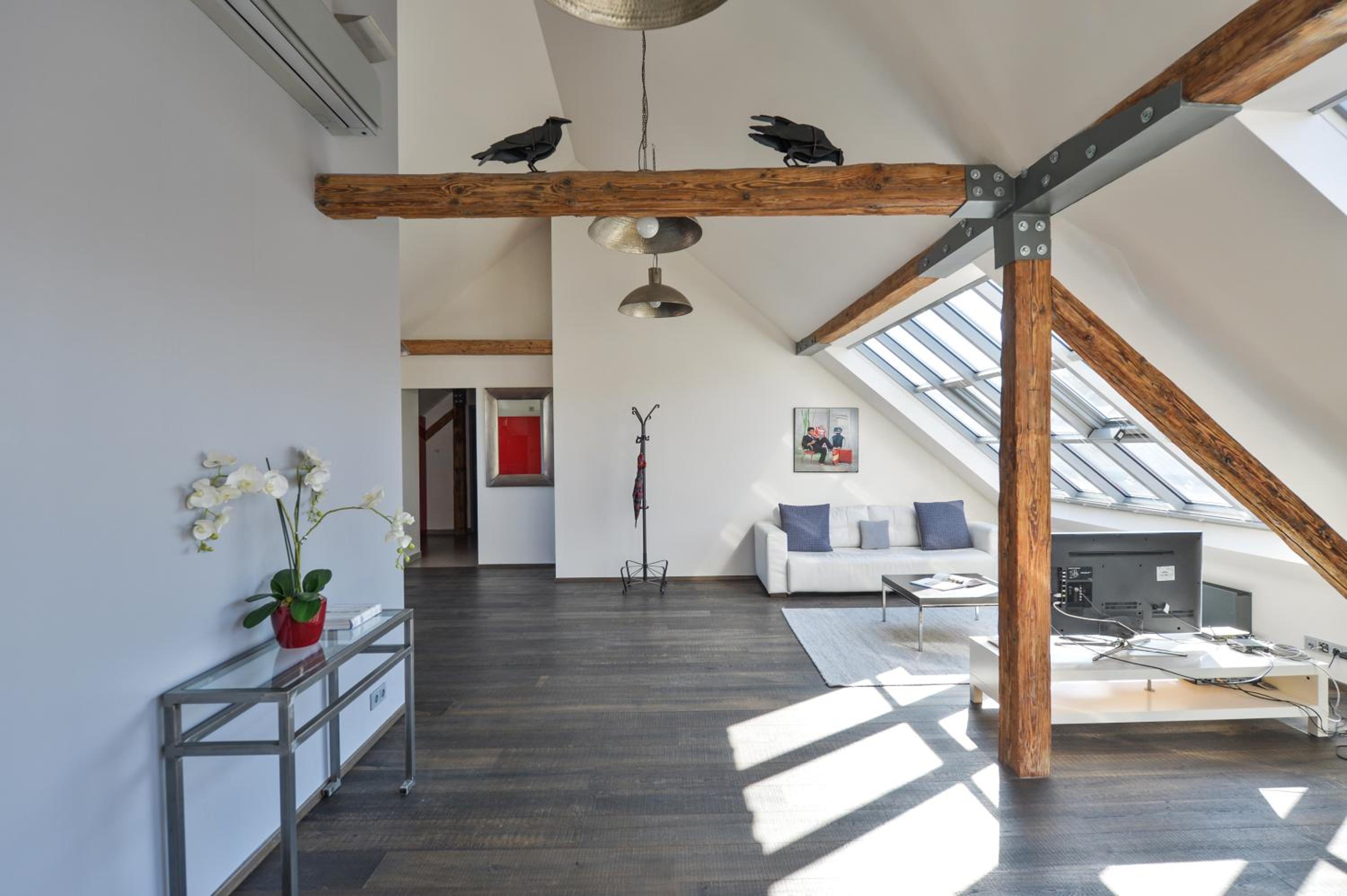 Designer Loft