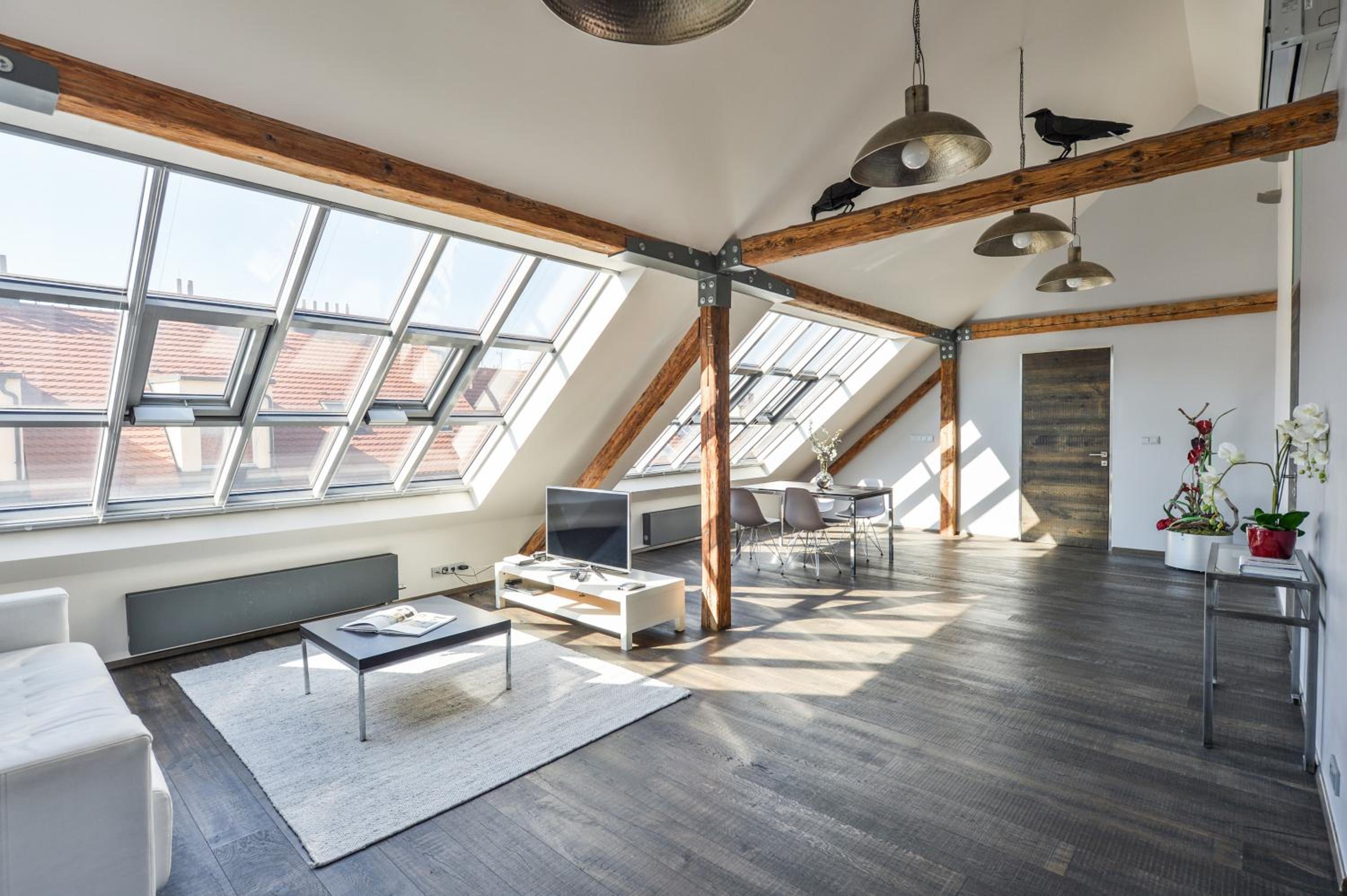 Designer Loft