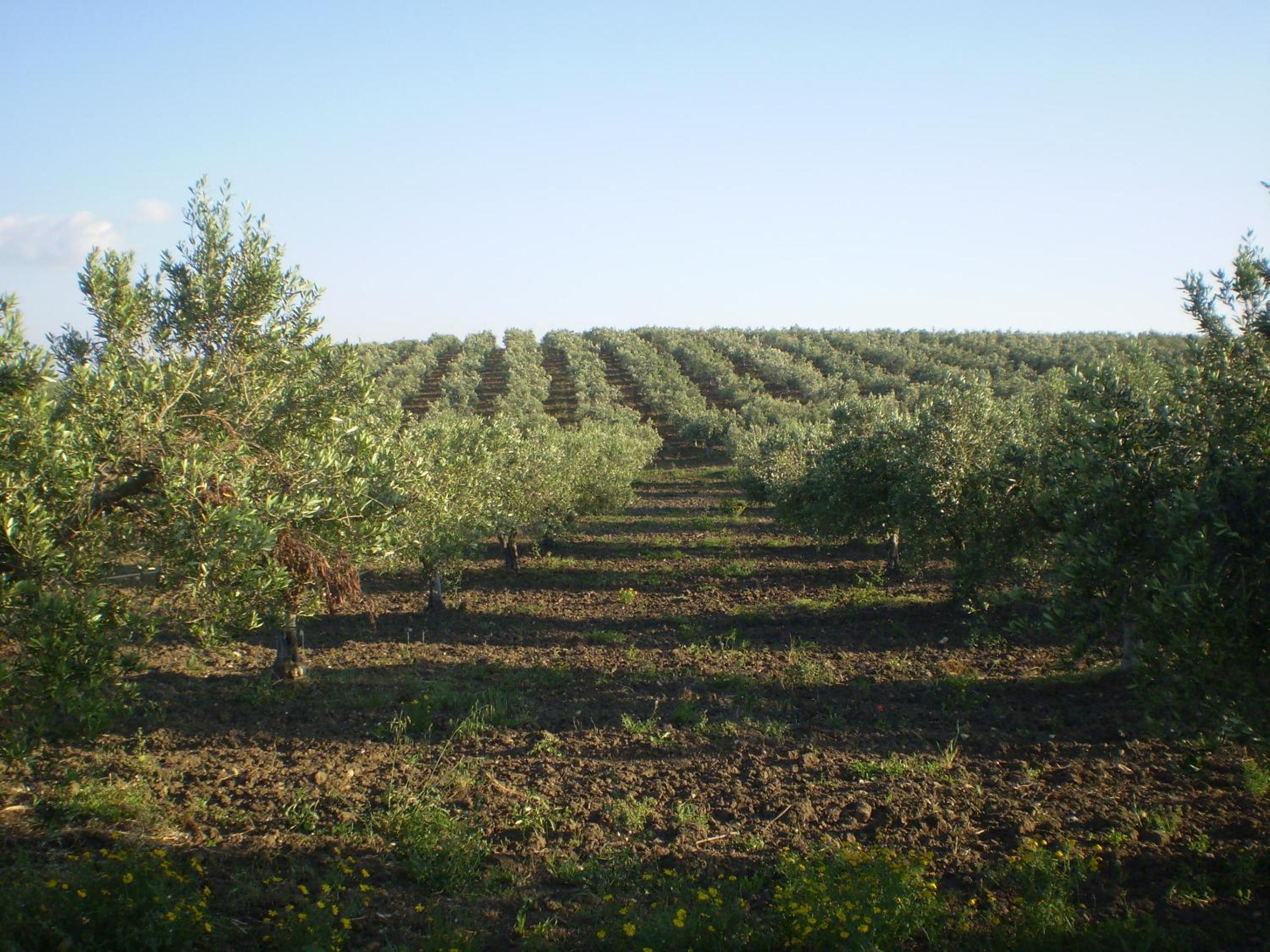 Agriturismo da Tore