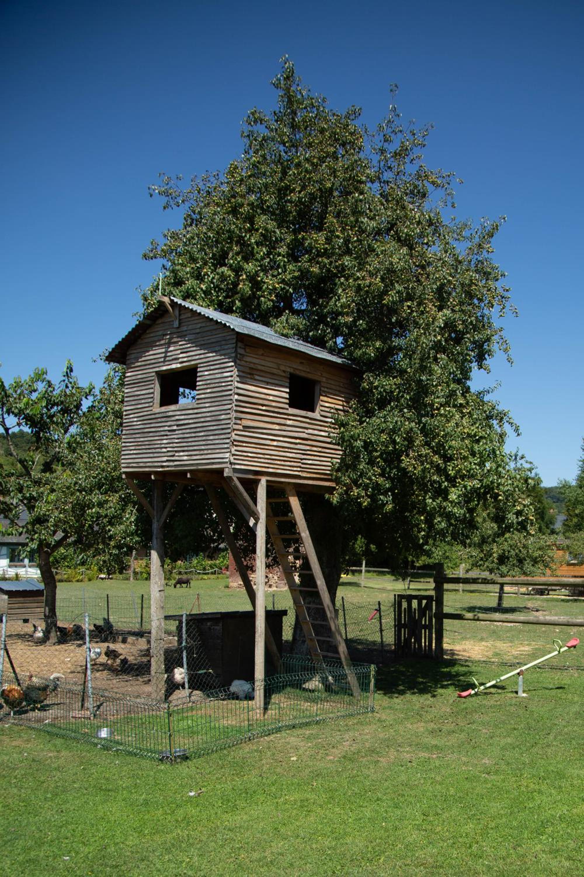 Photo 4