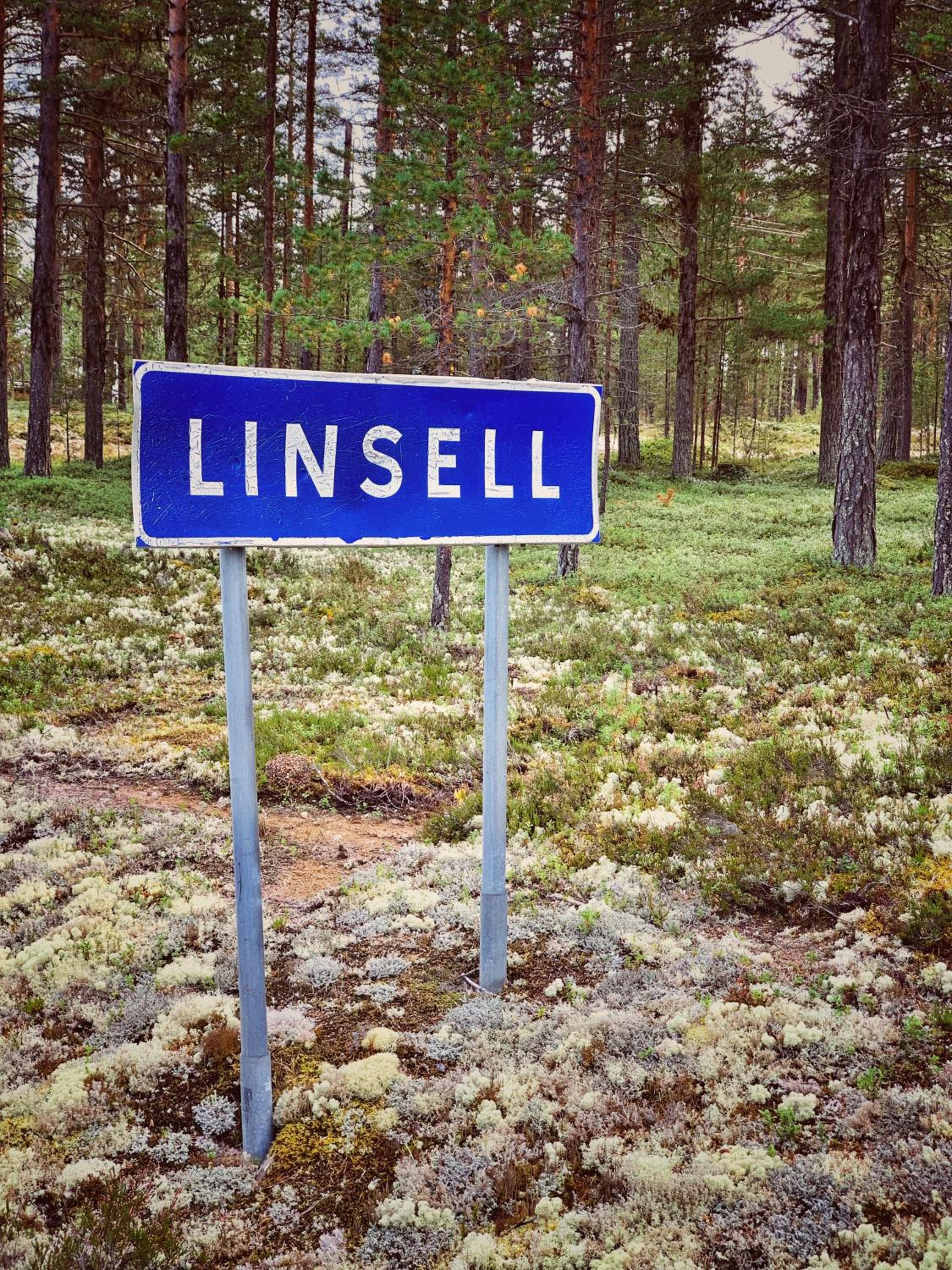 Linsell view 5