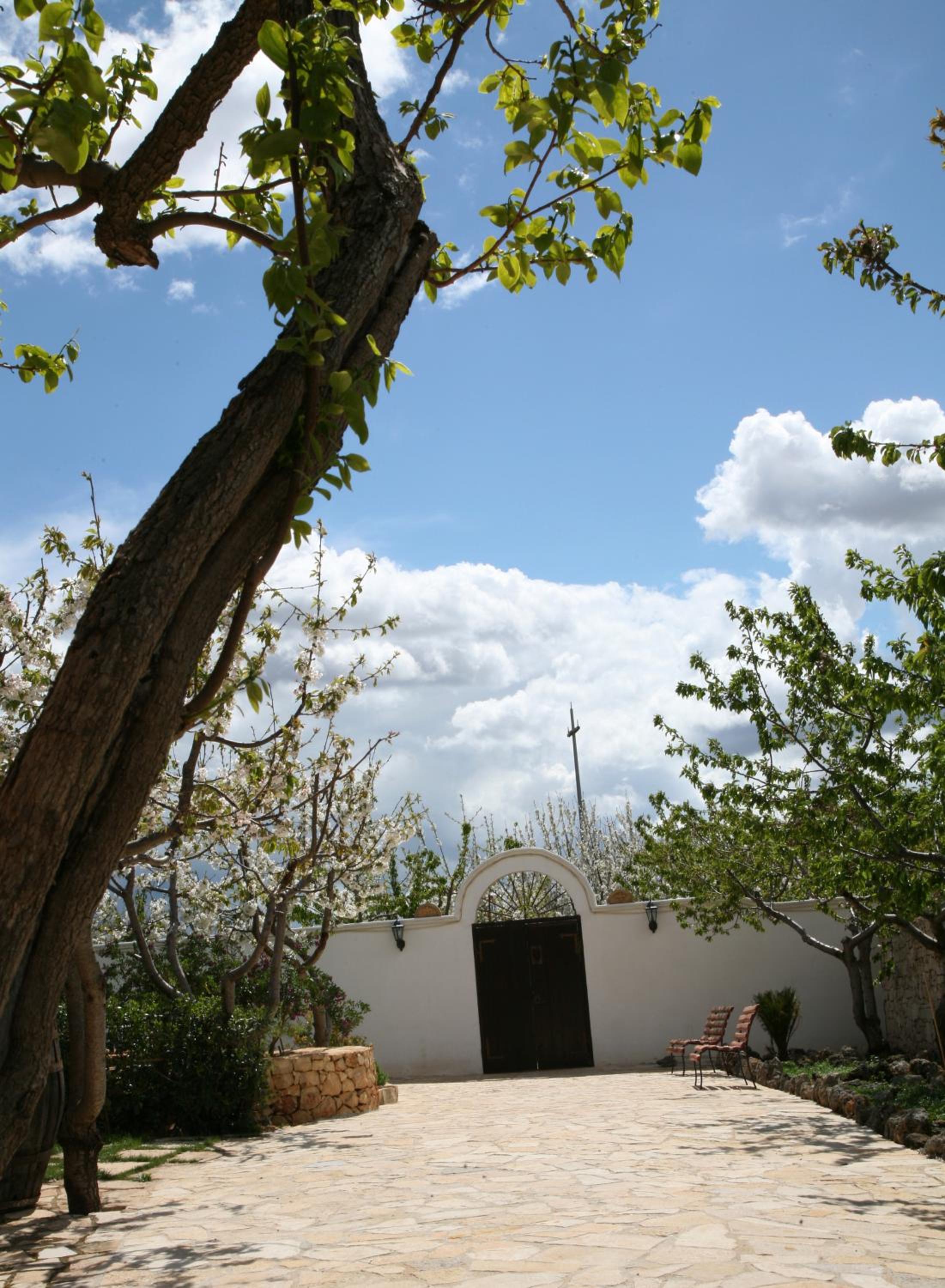 Photo 45
