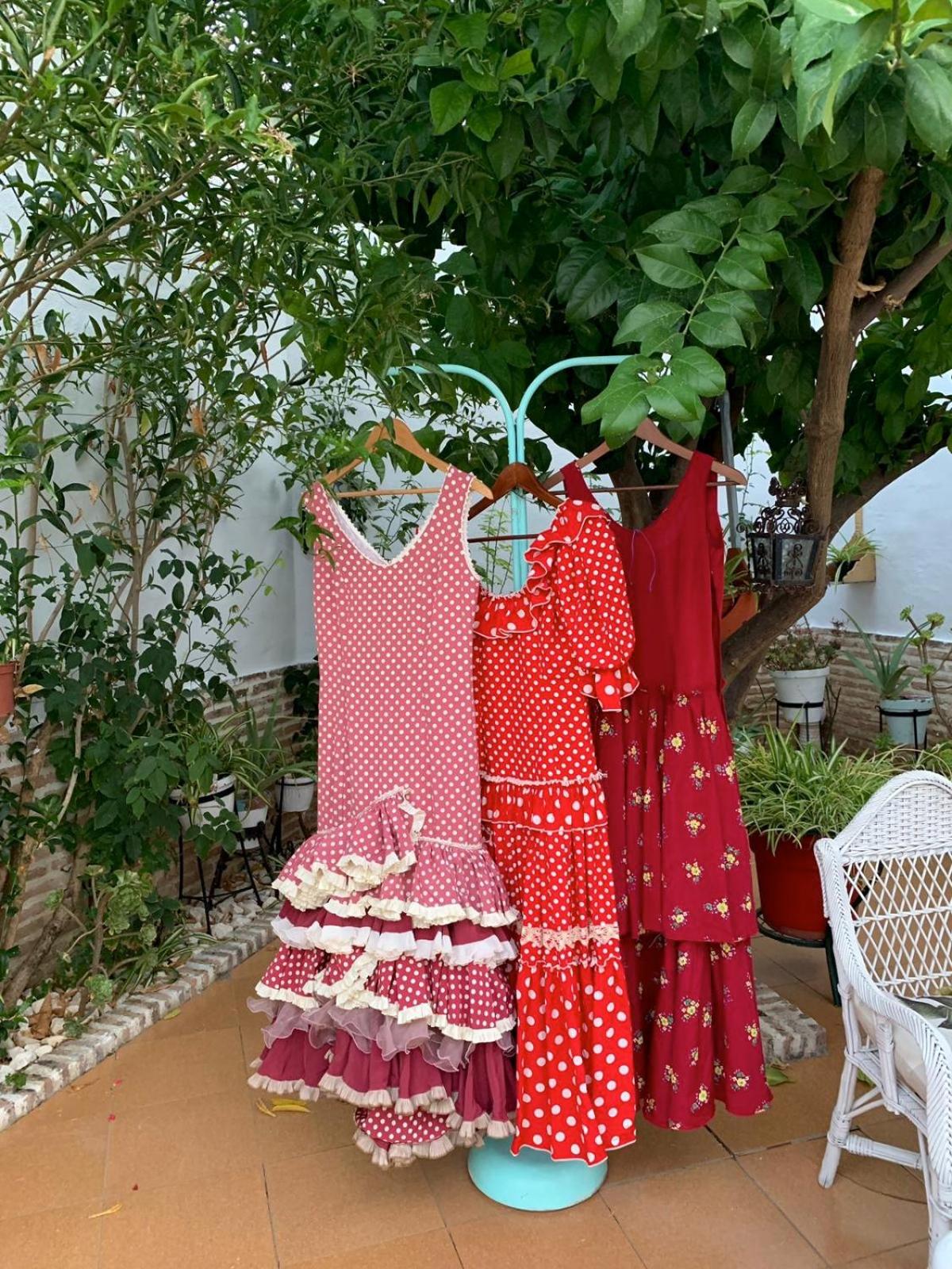 El Patio del Limonero