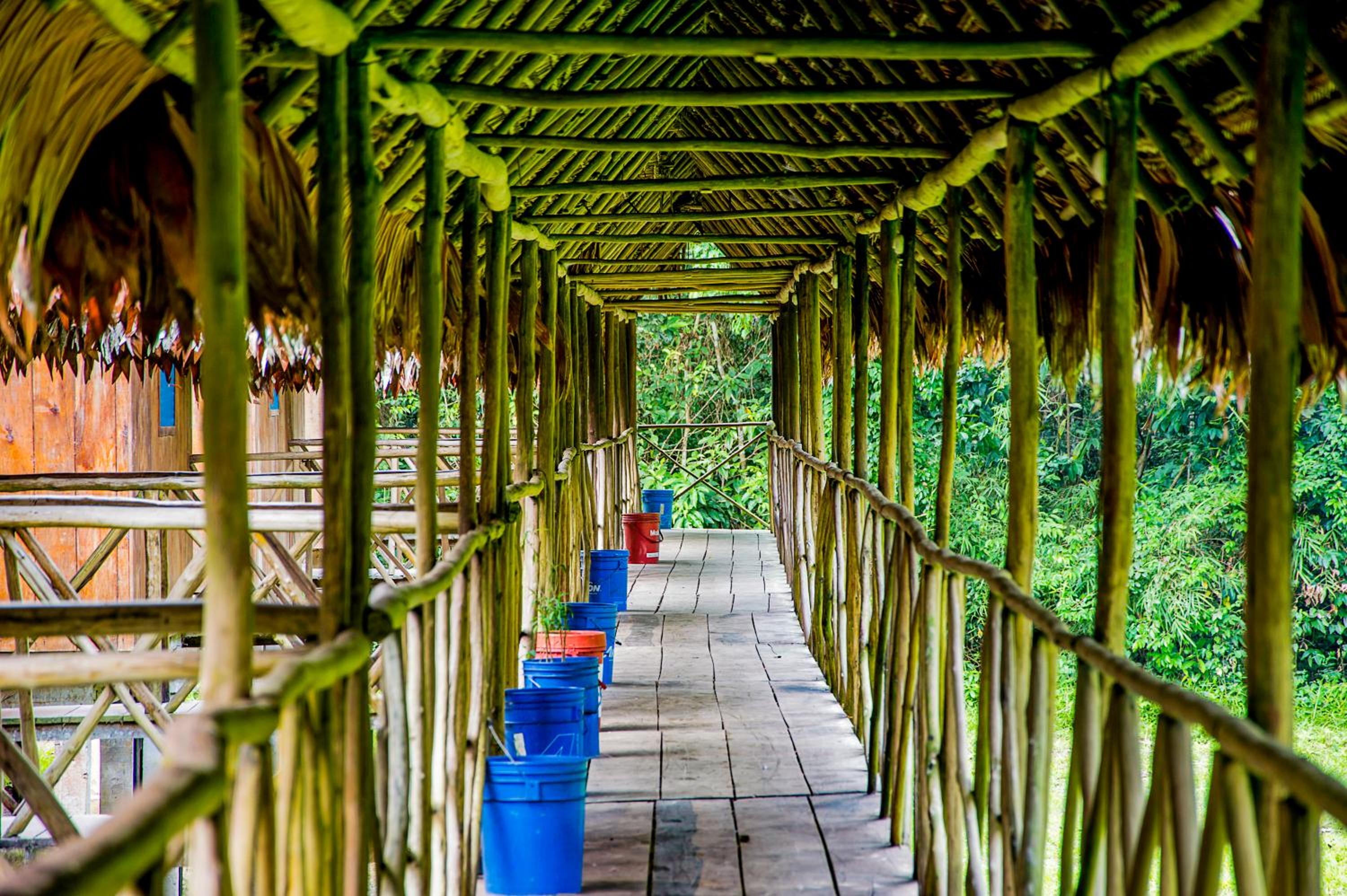 Amazon Muyuna Lodge - All Inclusive