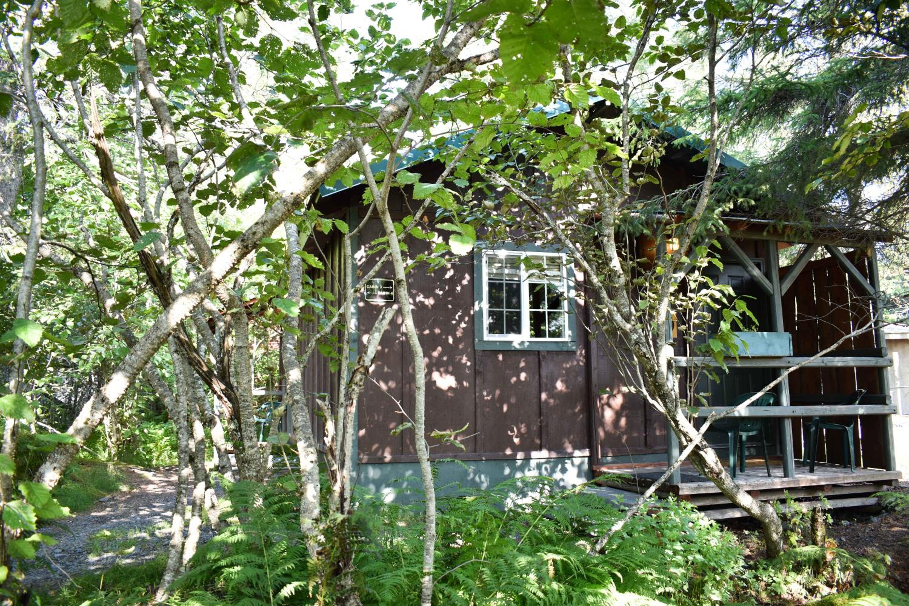 Exit Glacier Lodge