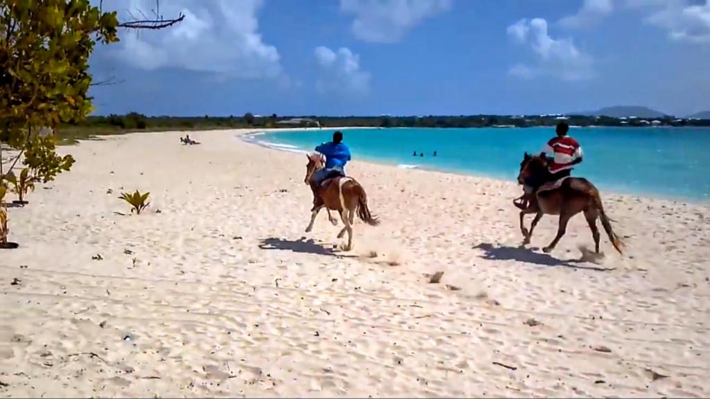 White Sands Anguilla - Sea